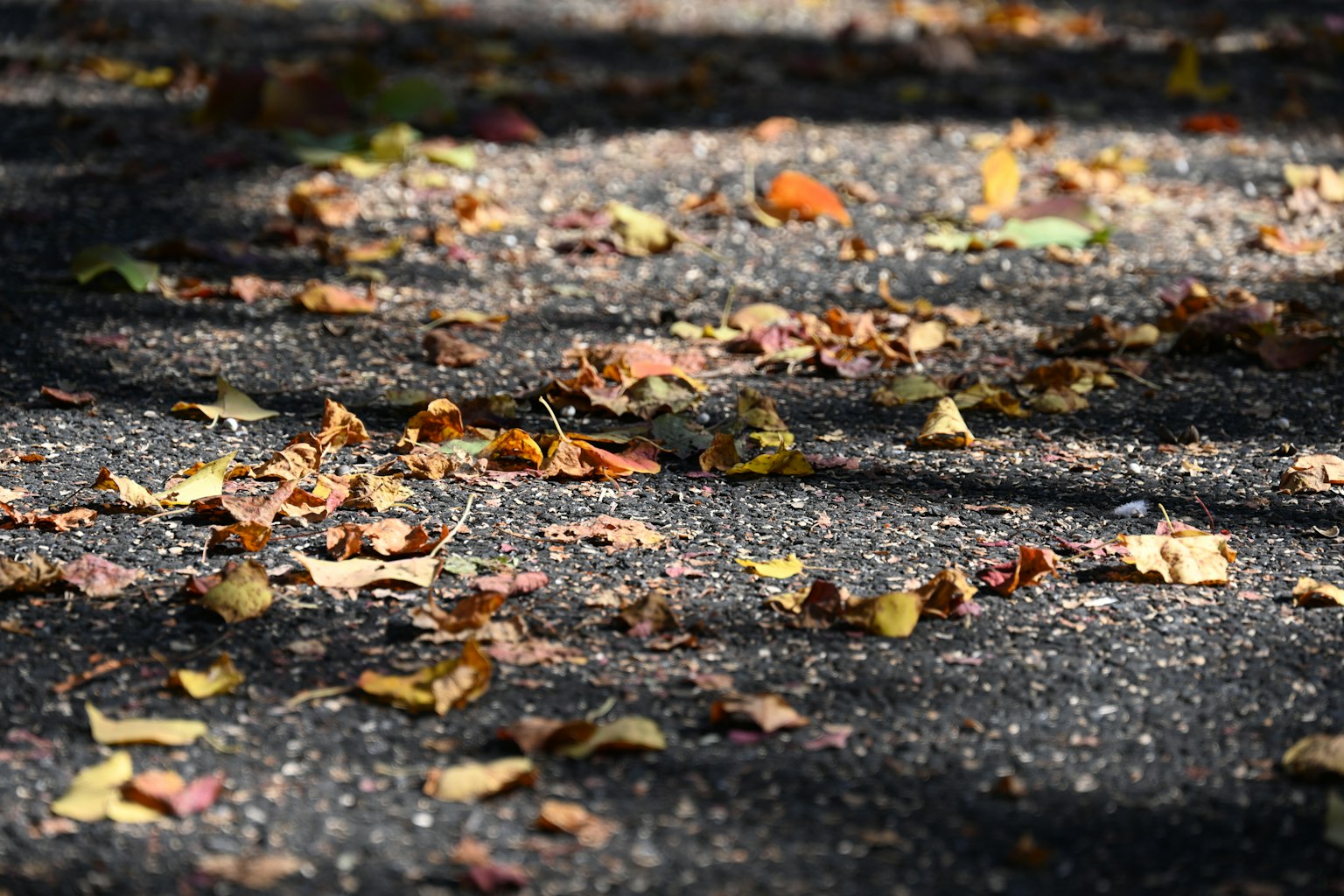 photo-WqvaV39Nx5GzHuWsN9Qx-image