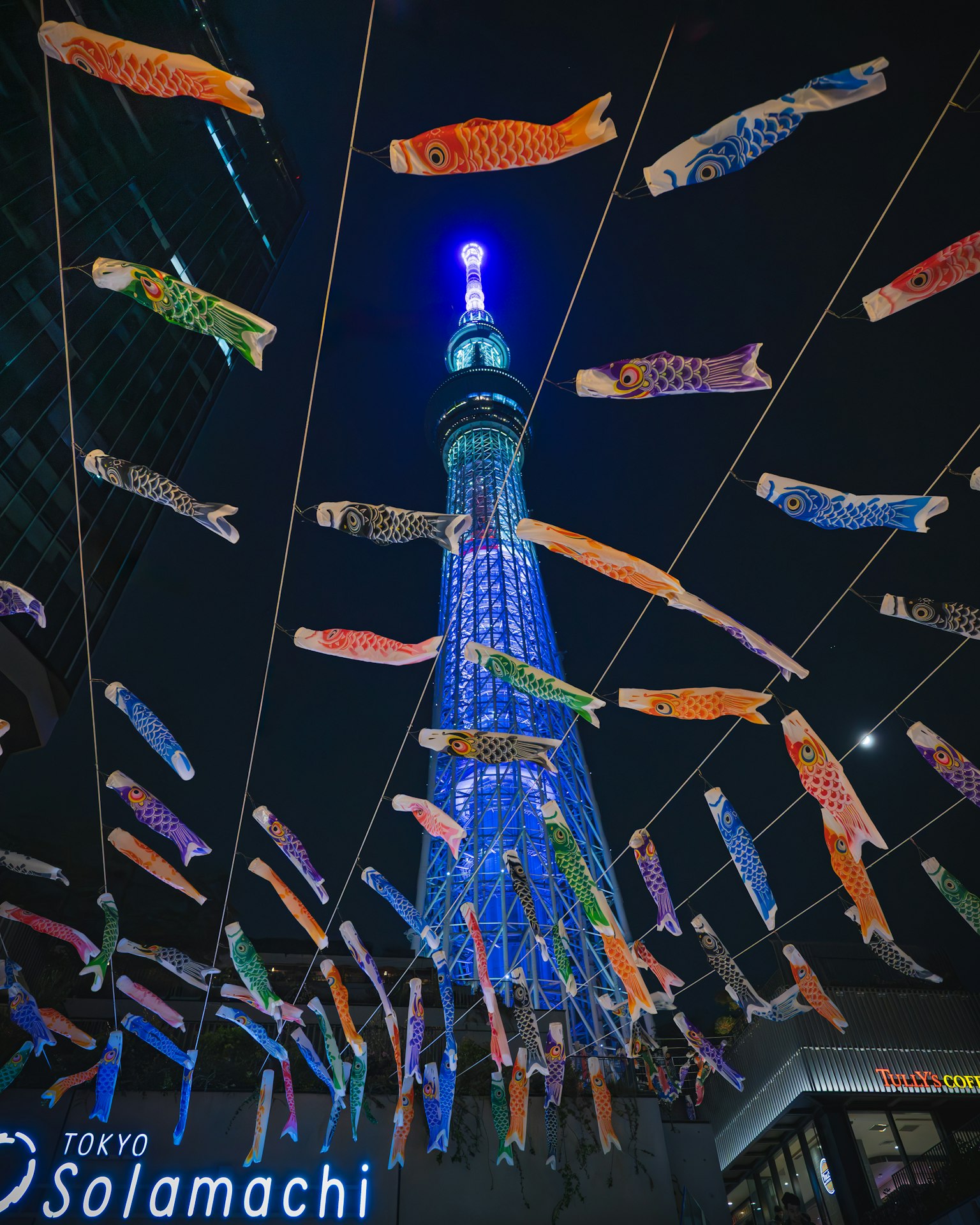 東京晴空塔的夜景與五彩斑斕的鯉魚旗裝飾