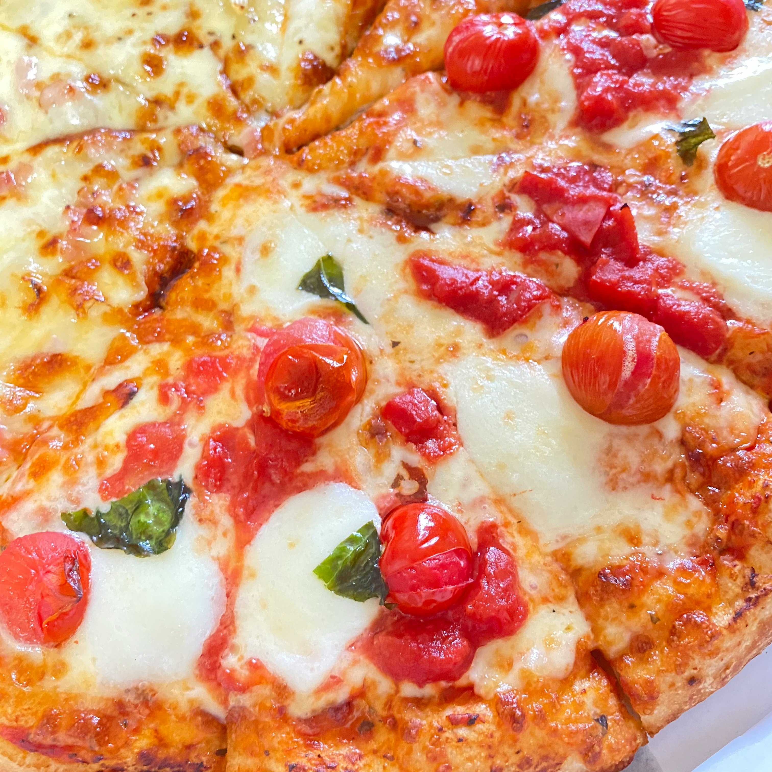 cheese-topped pizza with tomatoes and basil