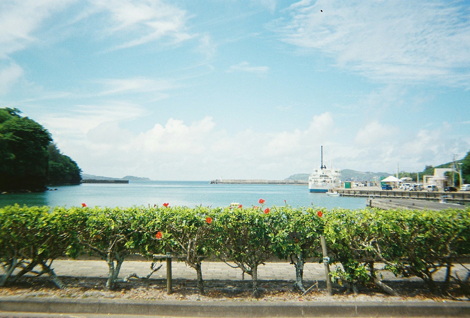 藍色海洋和白色船隻的風景 綠色籬笆和晴朗的天空