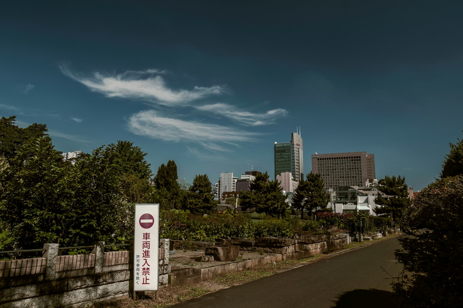 Lush park with skyscrapers in the background Clouds in a blue sky