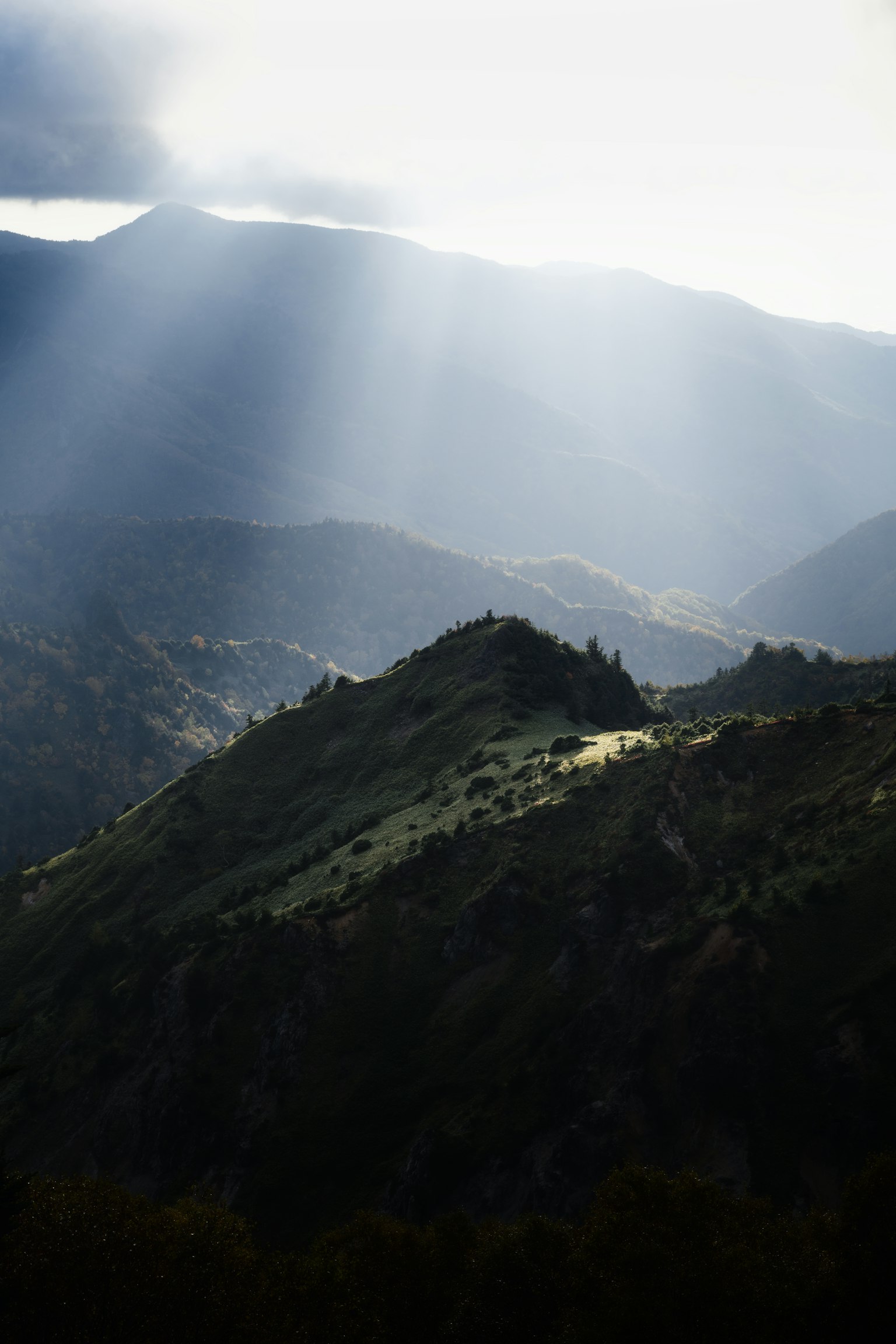 photo-Wsi4fUfmcNngW0gZltK3-image