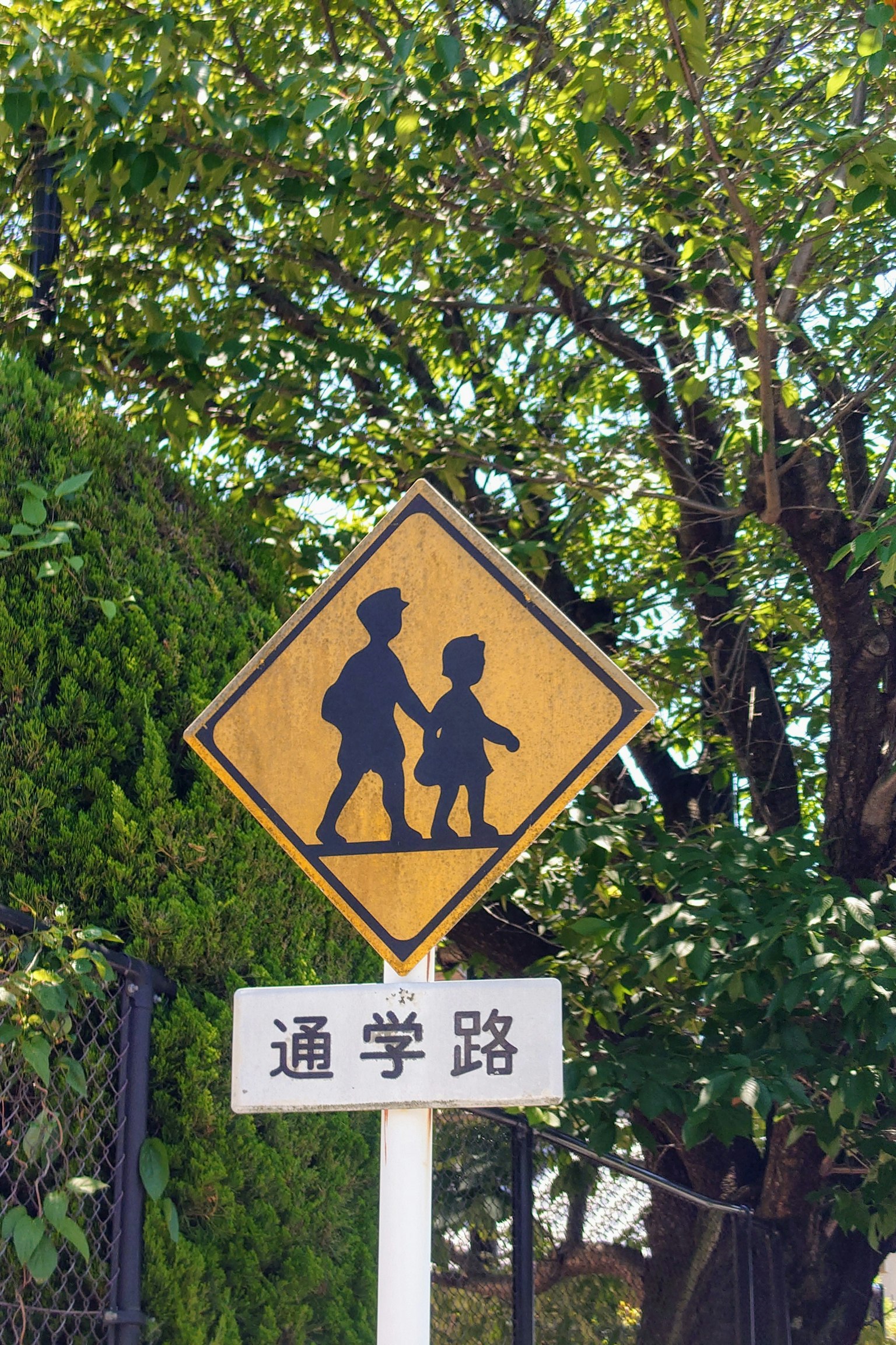 Biển báo cảnh báo màu vàng có hình bóng trẻ em nắm tay nhau bao quanh là tán lá xanh