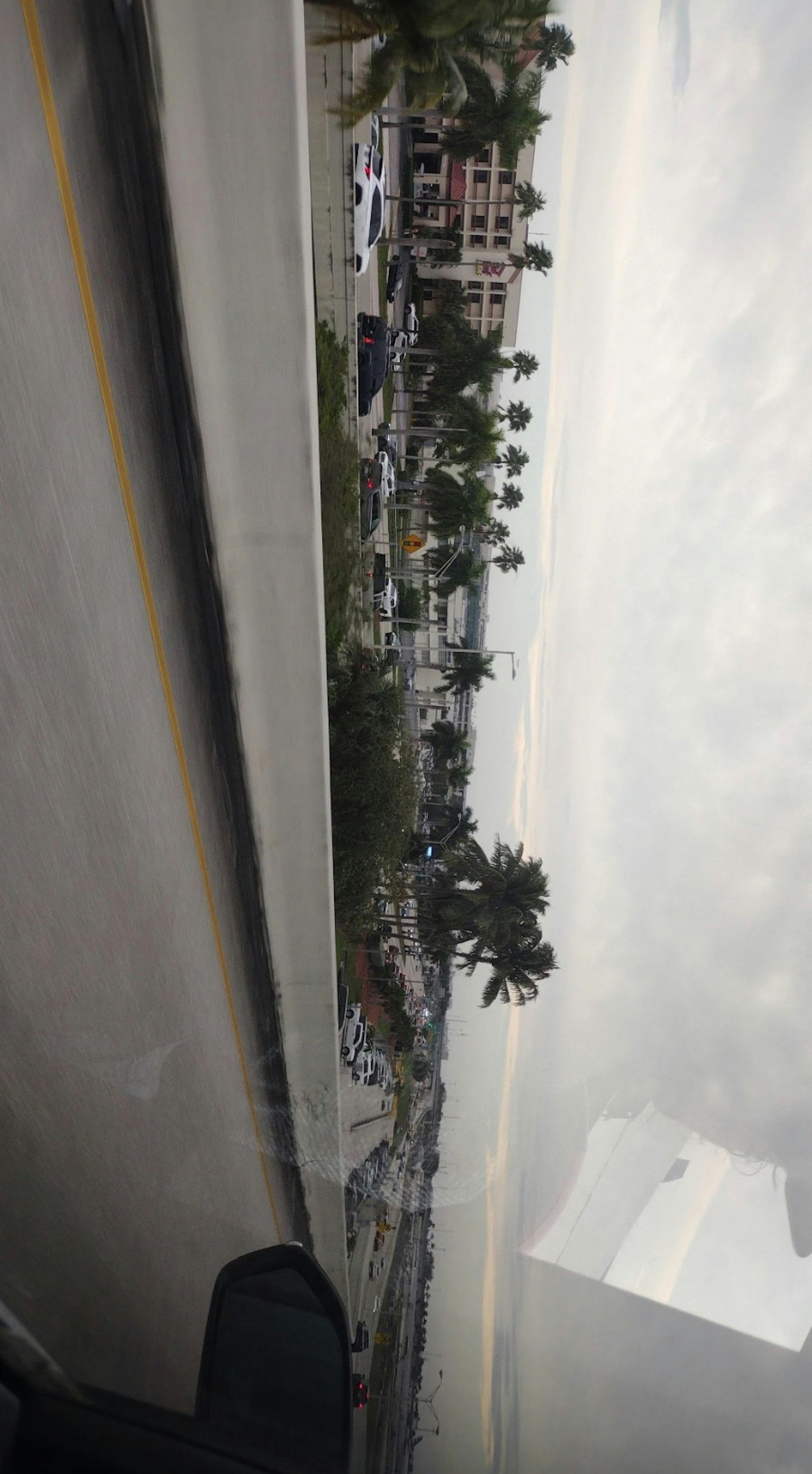 沿海公路与建筑和棕榈树
