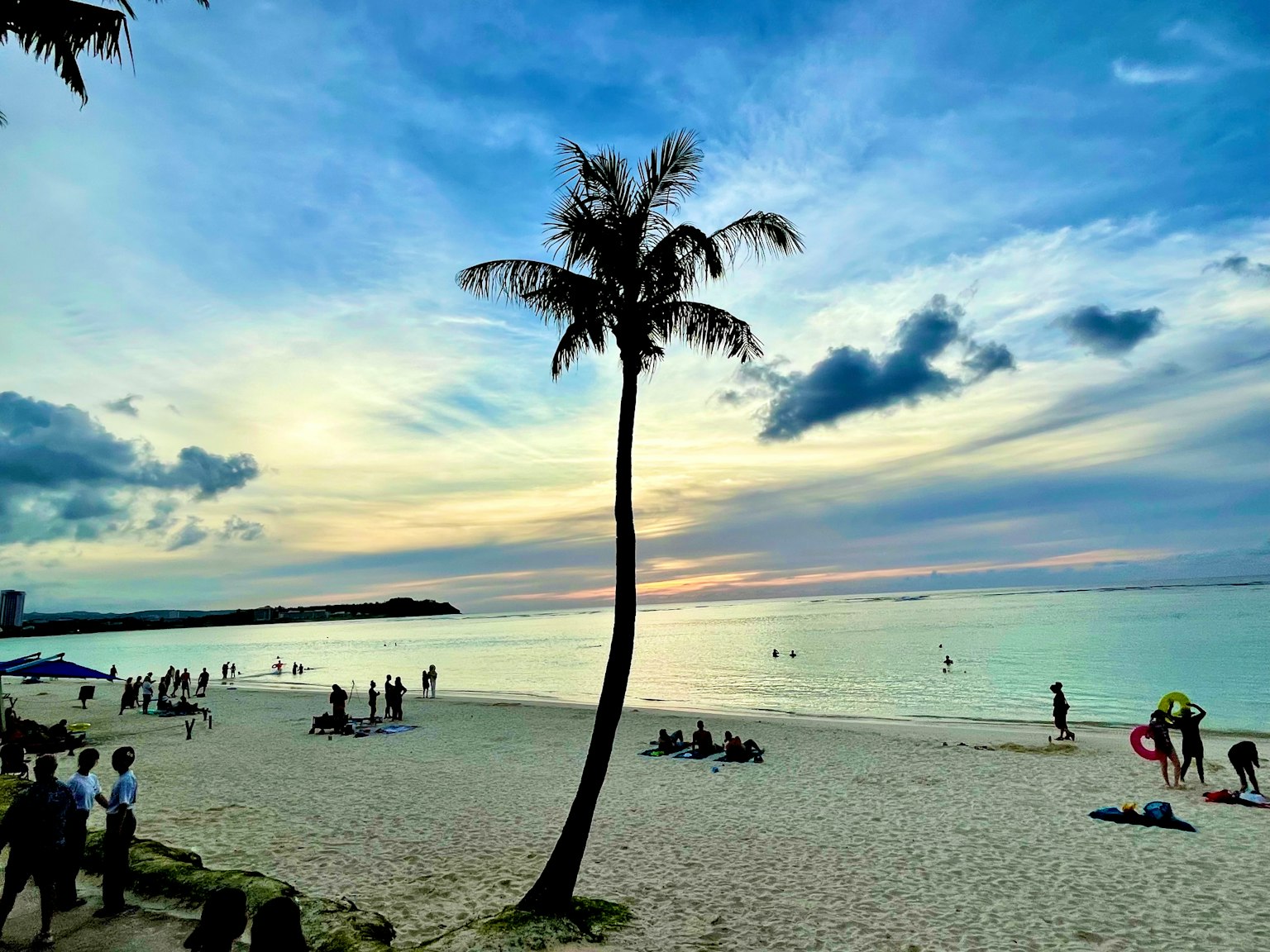 Pemandangan pantai yang indah dengan langit biru dan awan serta pohon palem