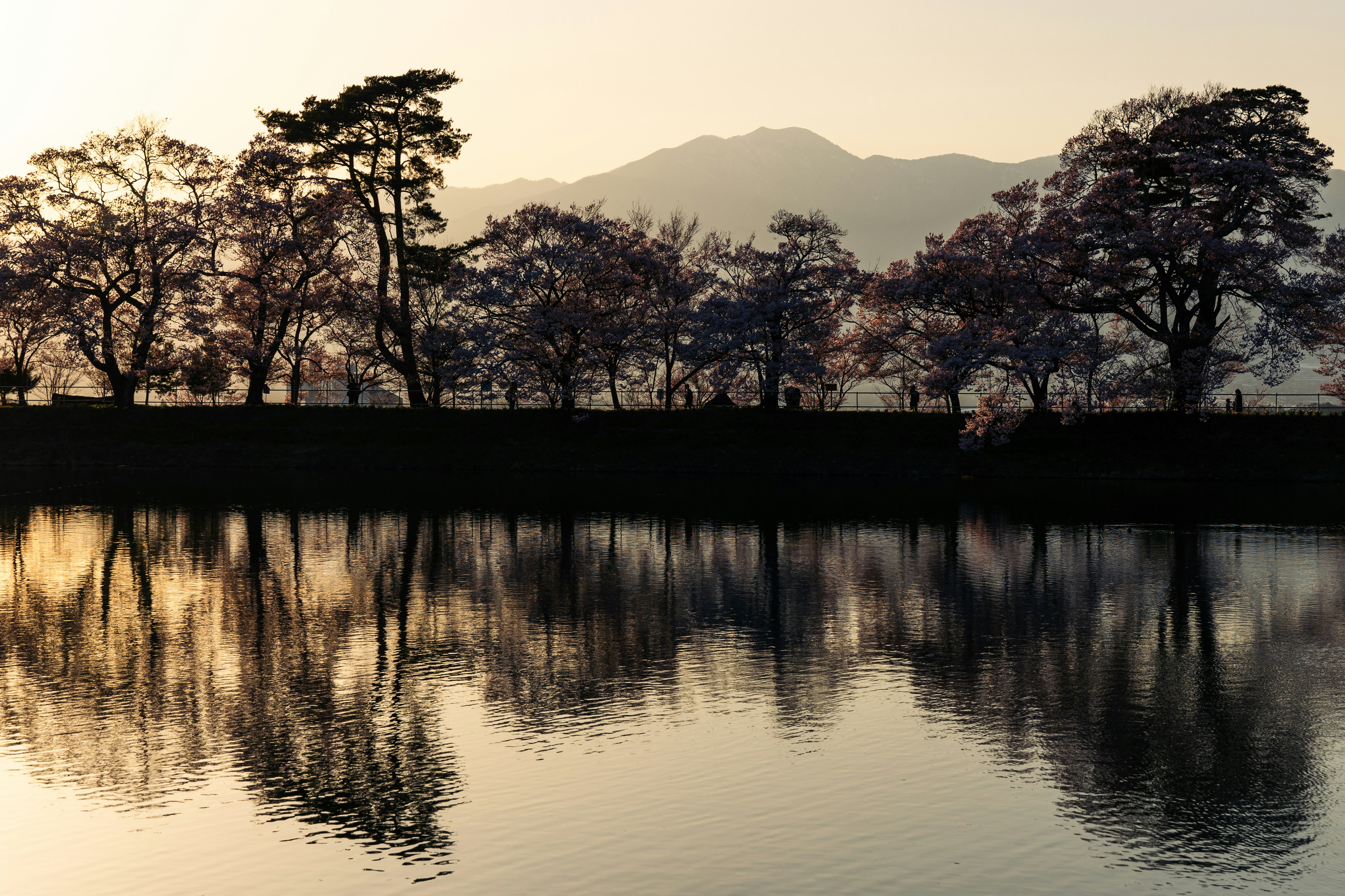 湖面に映る木々と遠くの山並みの夕景