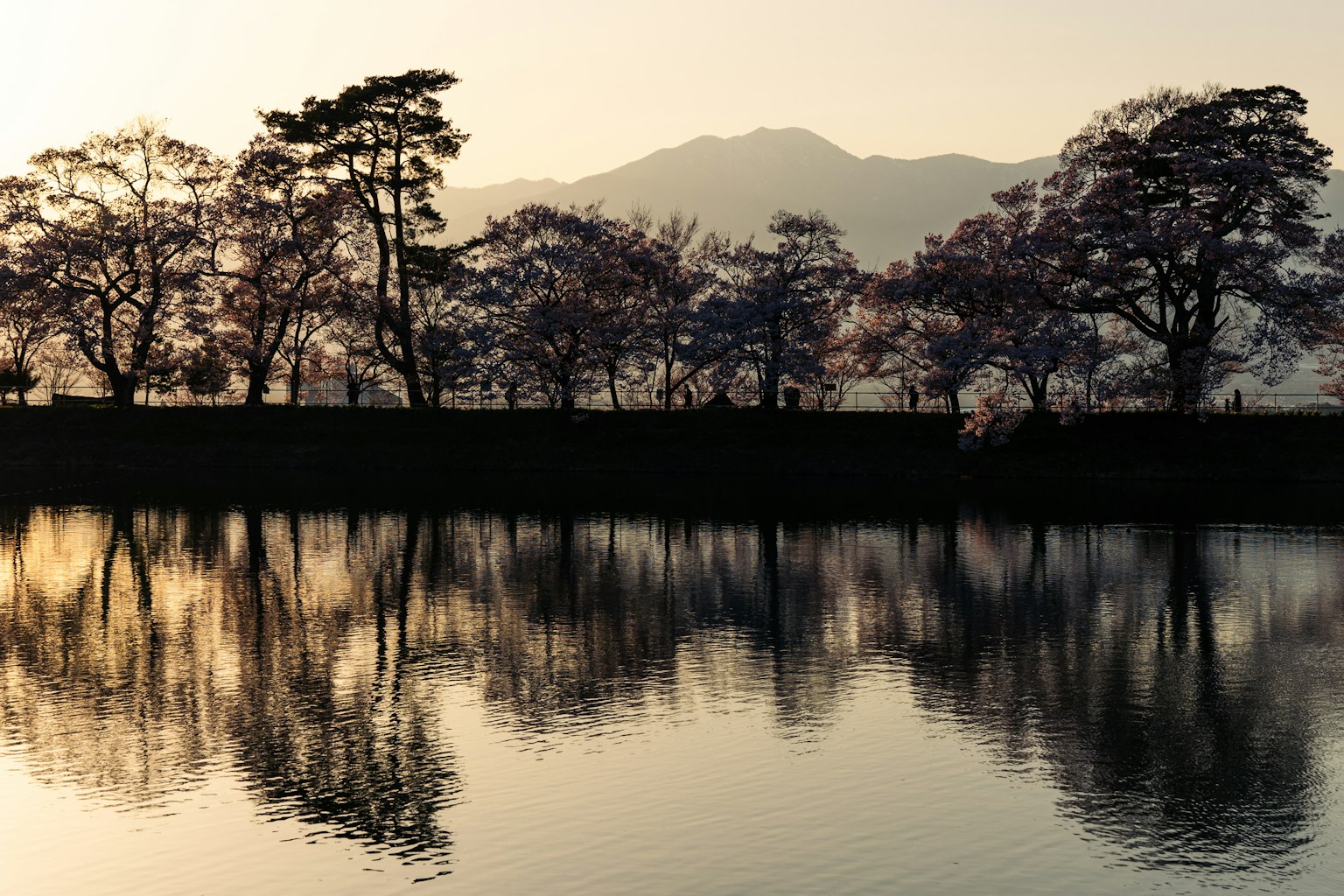 Silhouette of trees reflecting on a lake at sunset with mountains in the background