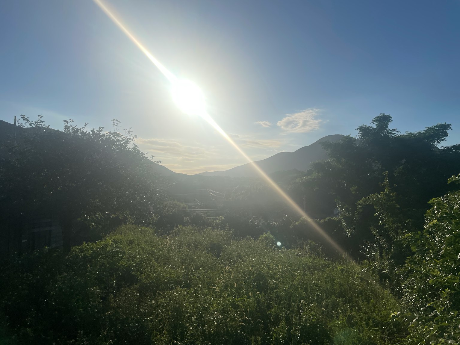 Cảnh quan xanh tươi dưới bầu trời xanh với ánh sáng mặt trời