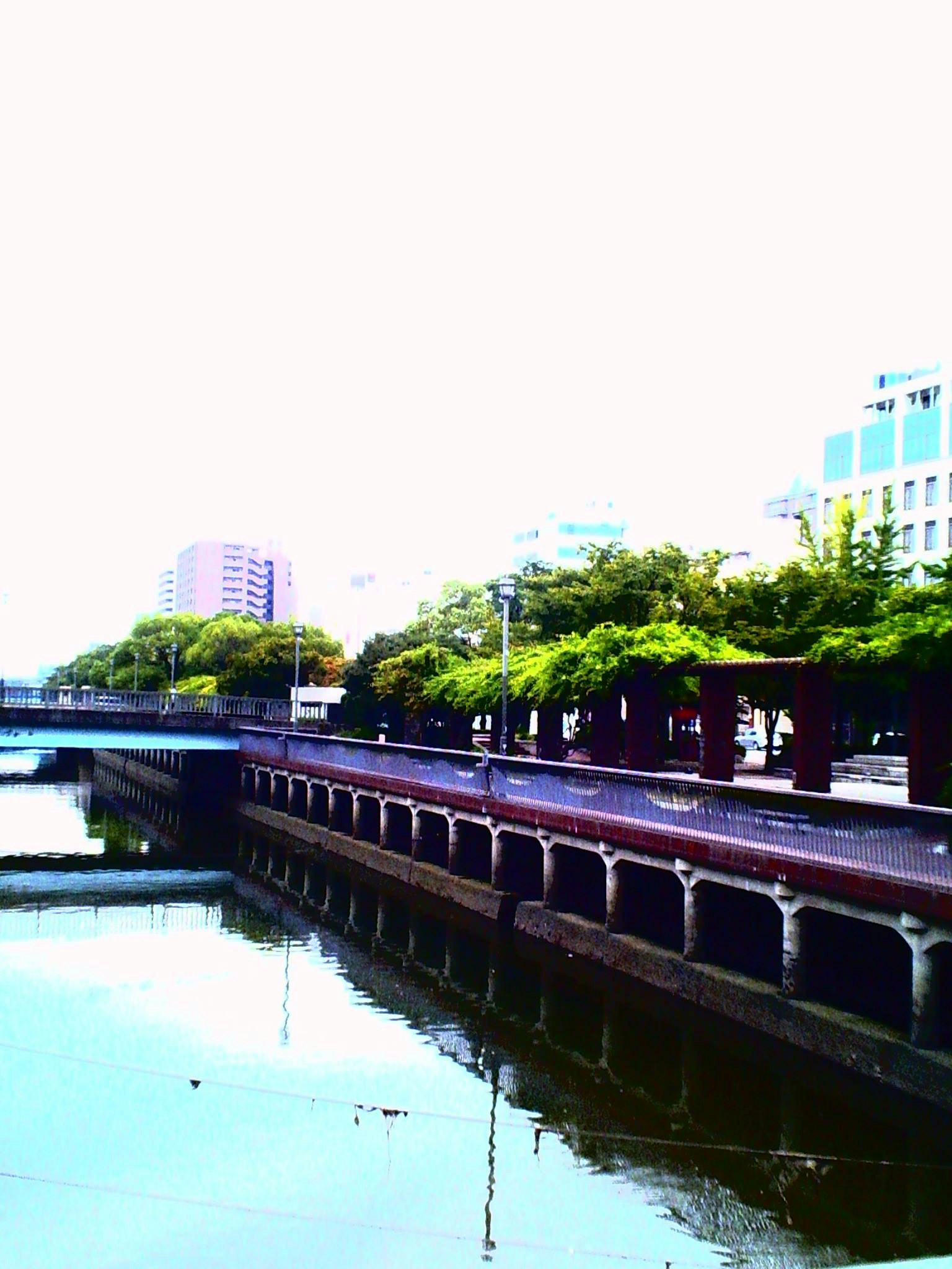 河岸风景与树木排成的步道
