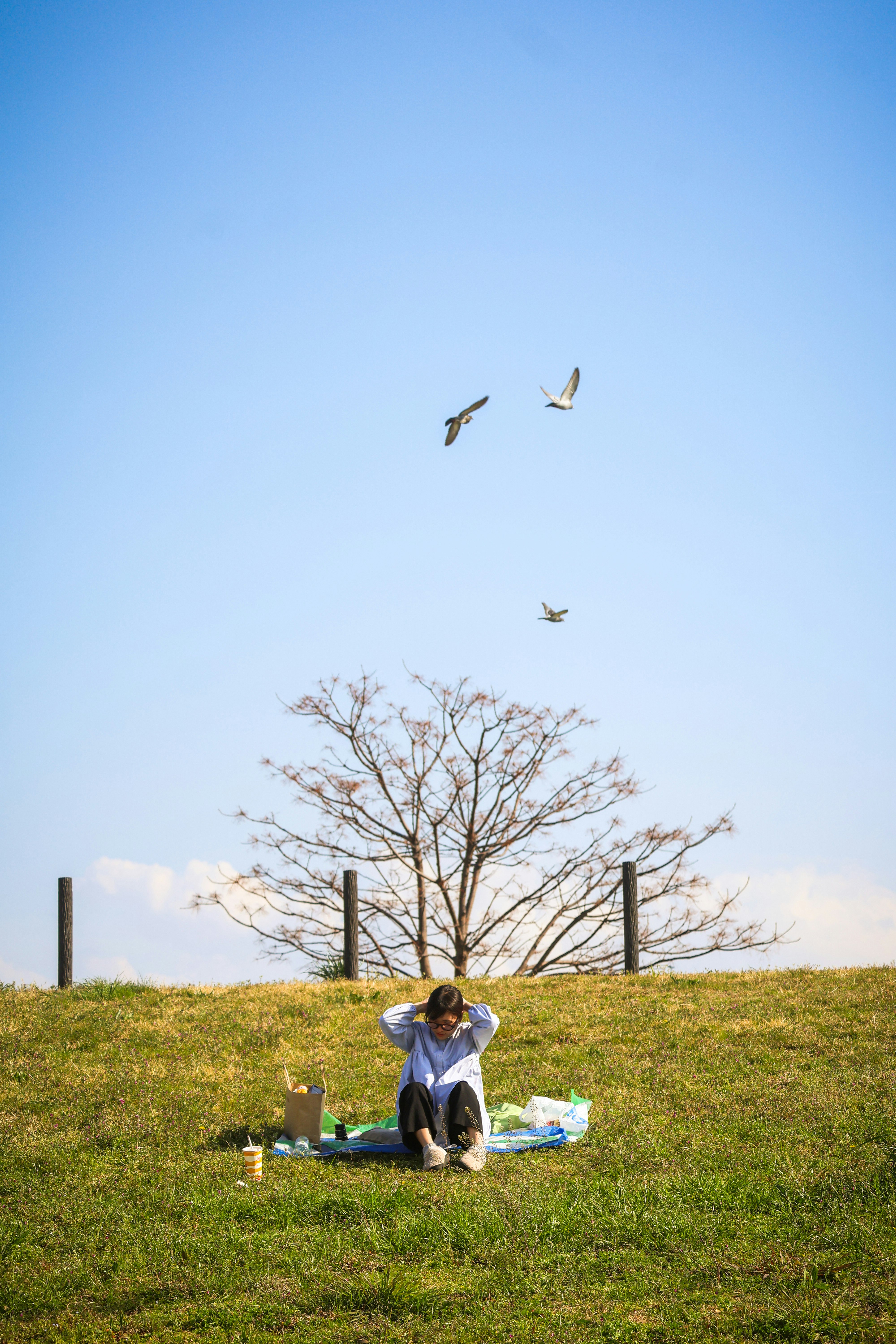 藍天白雲下草地上的家庭野餐