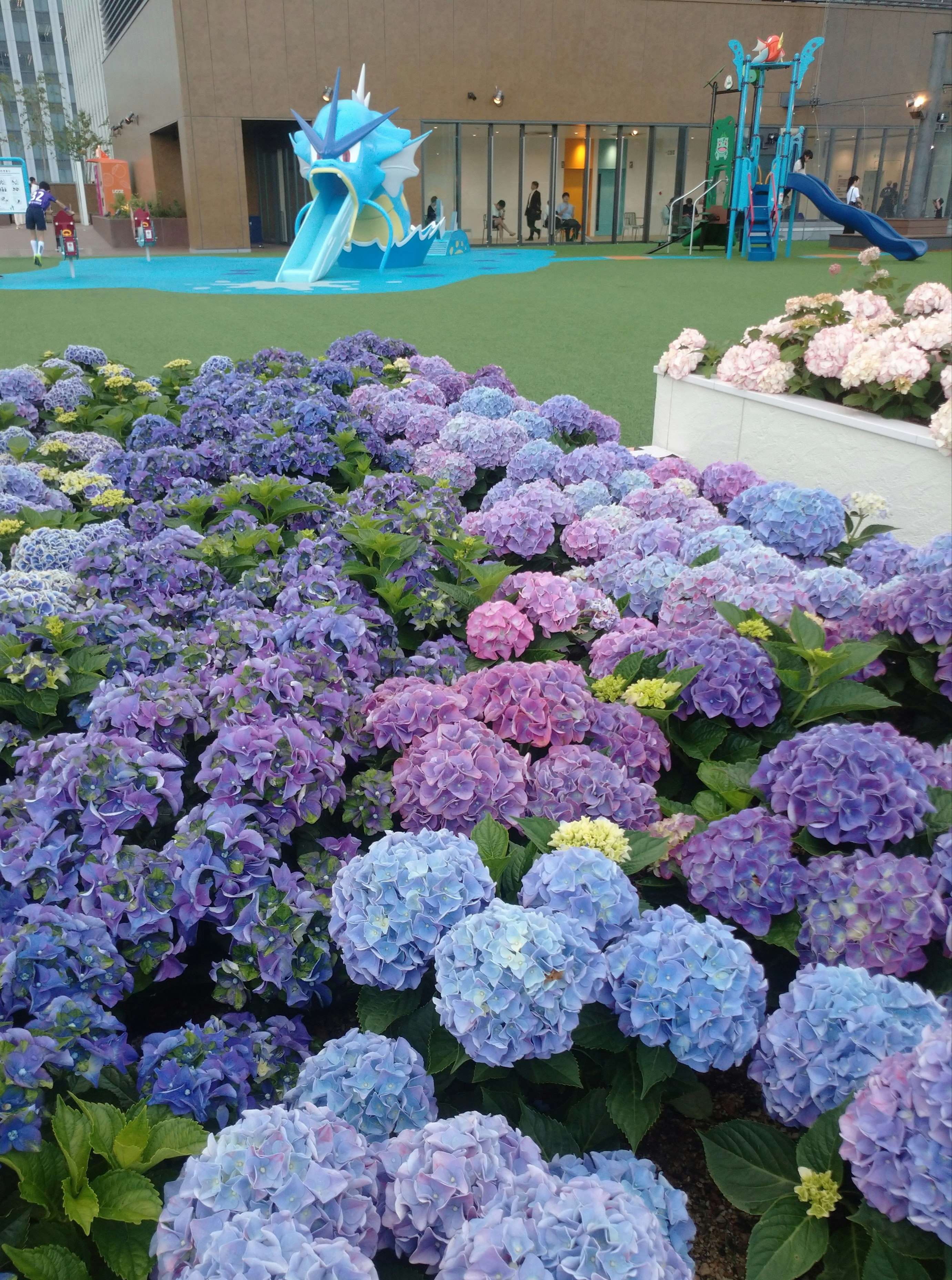 屋上の紫陽花の花壇と青い噴水のある空間