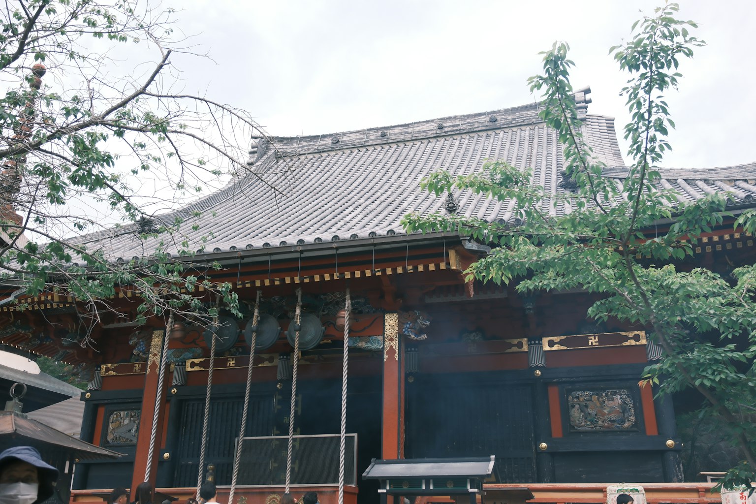 Techo de un templo japonés tradicional con árboles alrededor