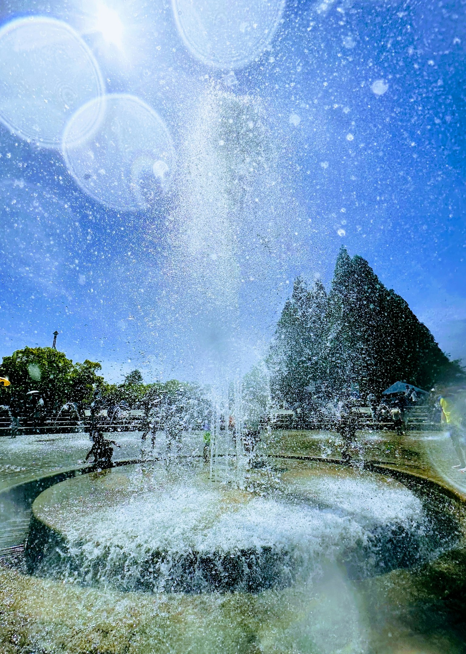 photo-WulYGWaGHUUaptMoIoVR-image