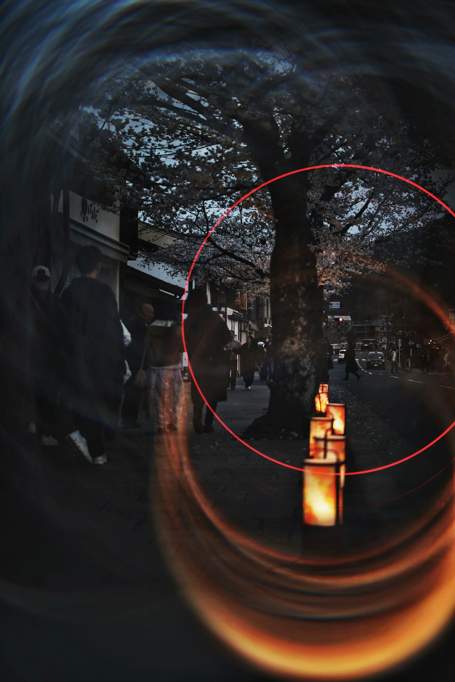 photo-Wv8cMHTPXnpZQdkKODBU-image