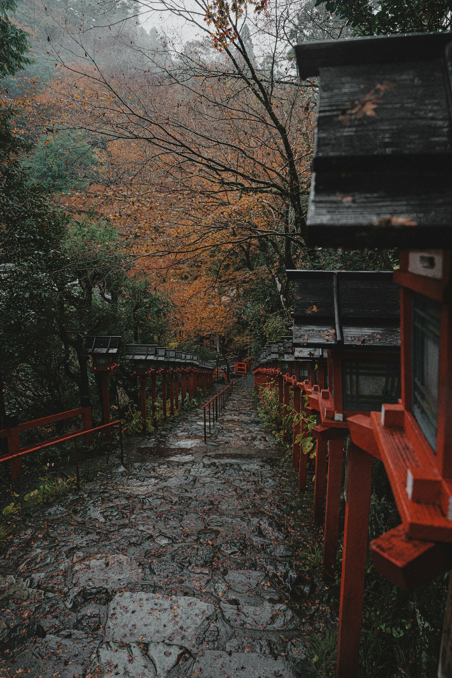 photo-Wvhro5oQFfIym2PKhxCp-image