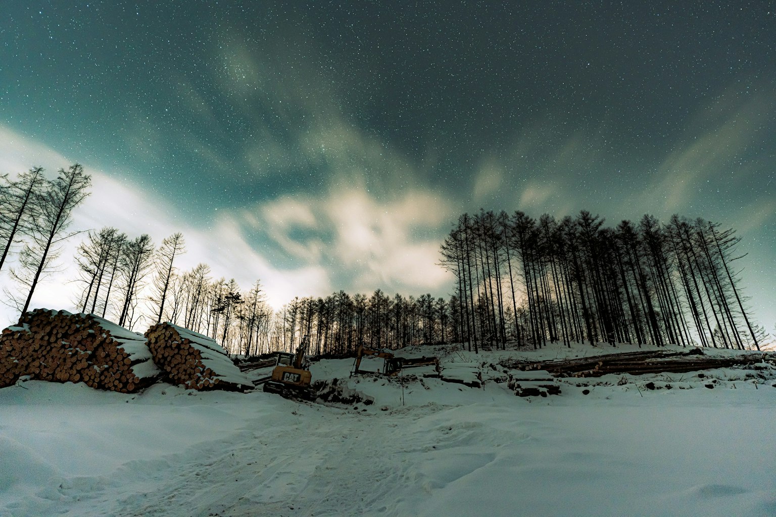 Ciel nocturne d'hiver avec un paysage enneigé et des silhouettes d'arbres