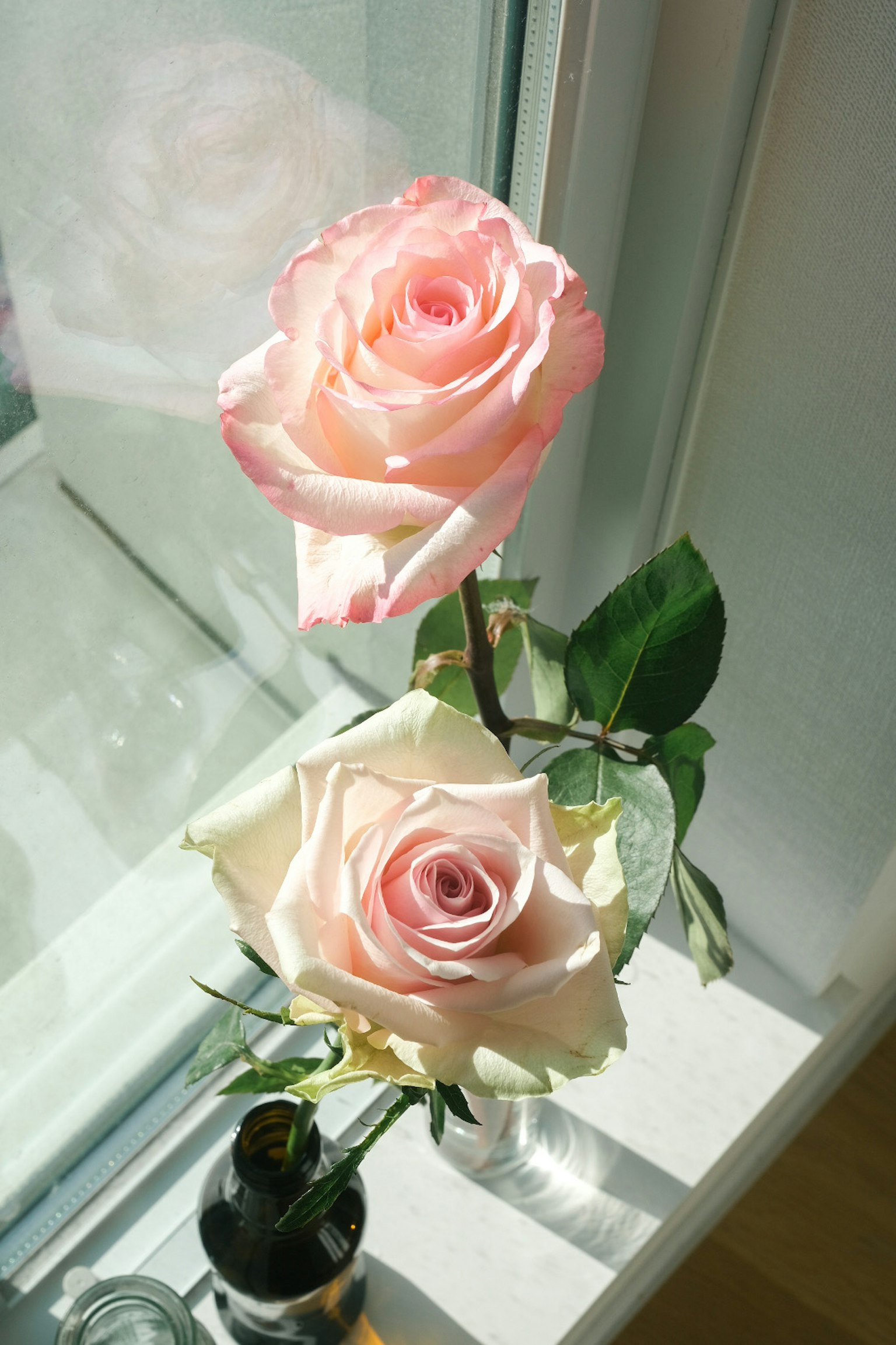 Due rose rosa in un vaso su un davanzale