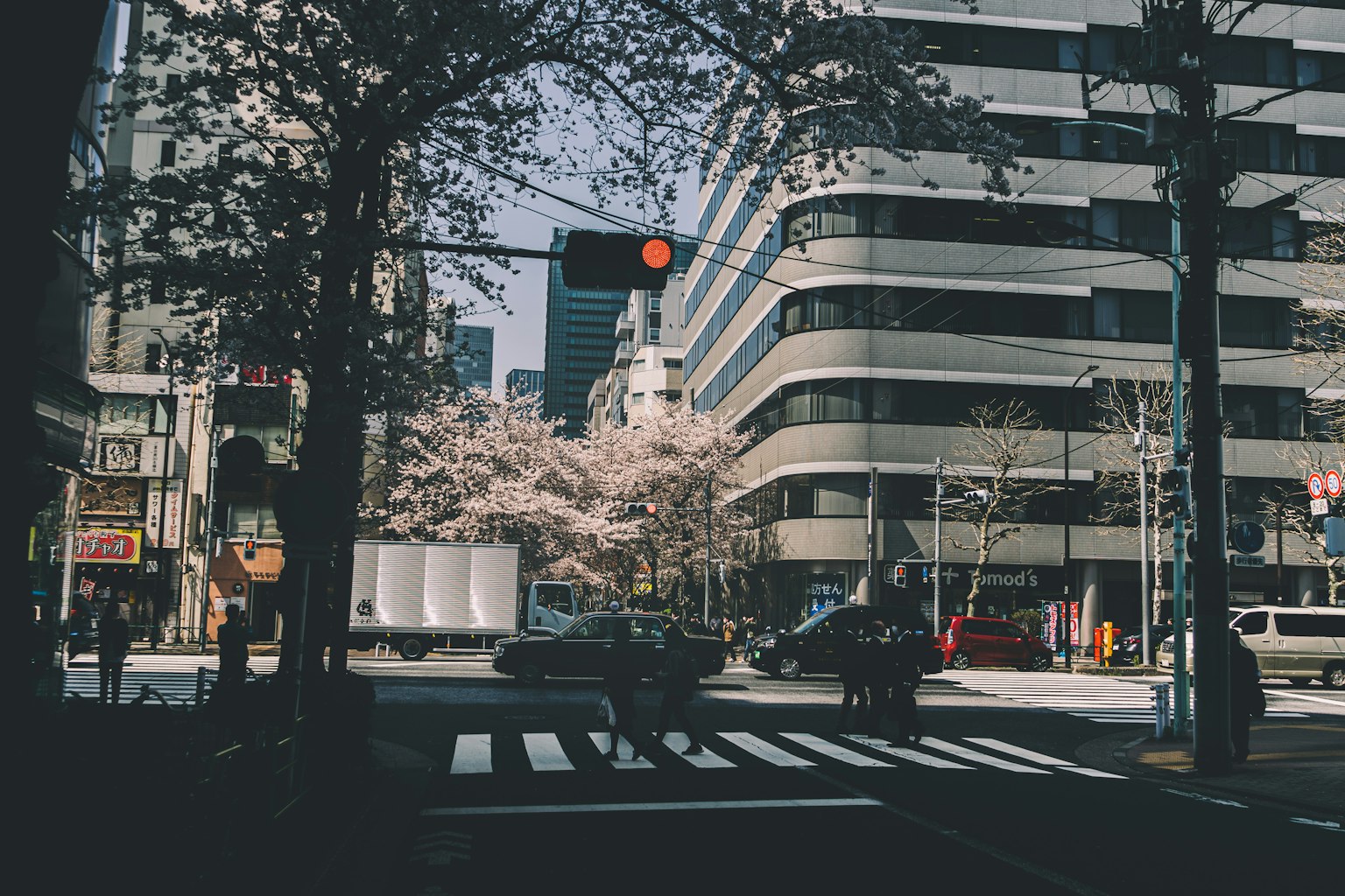 Pemandangan sudut jalan dengan pohon sakura dan gedung modern