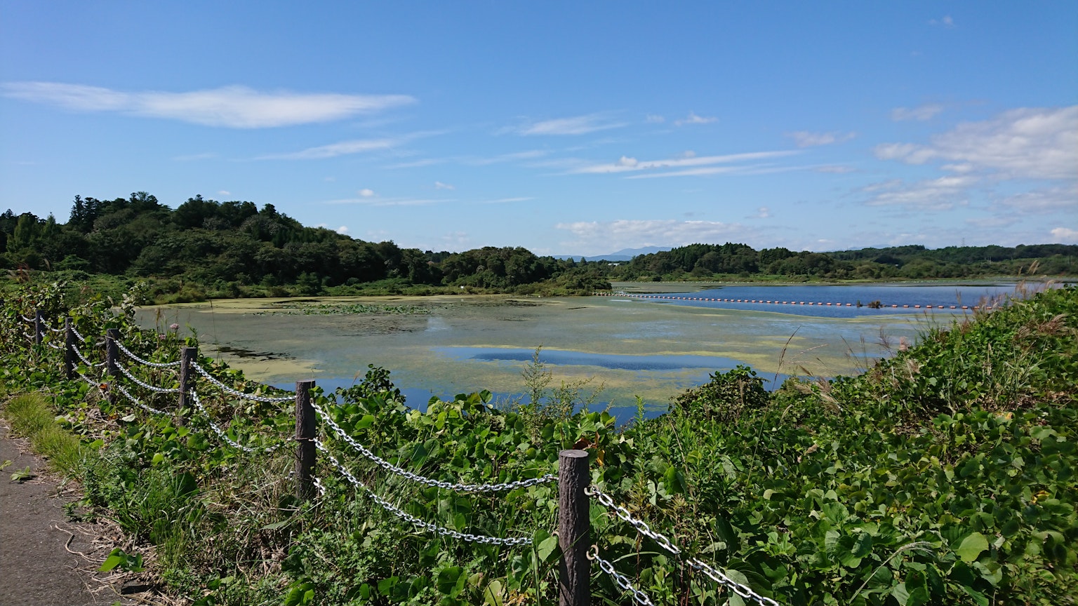 Lac serein sous un ciel bleu avec une verdure luxuriante