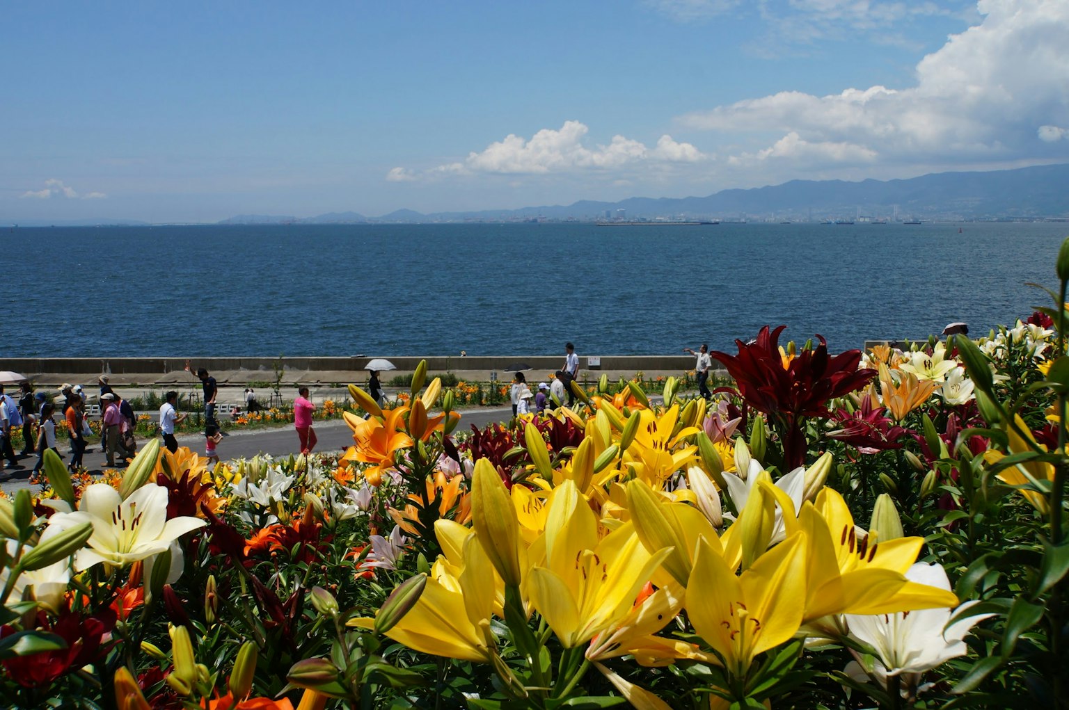 Fiori vivaci in primo piano con persone che godono della vista sul mare