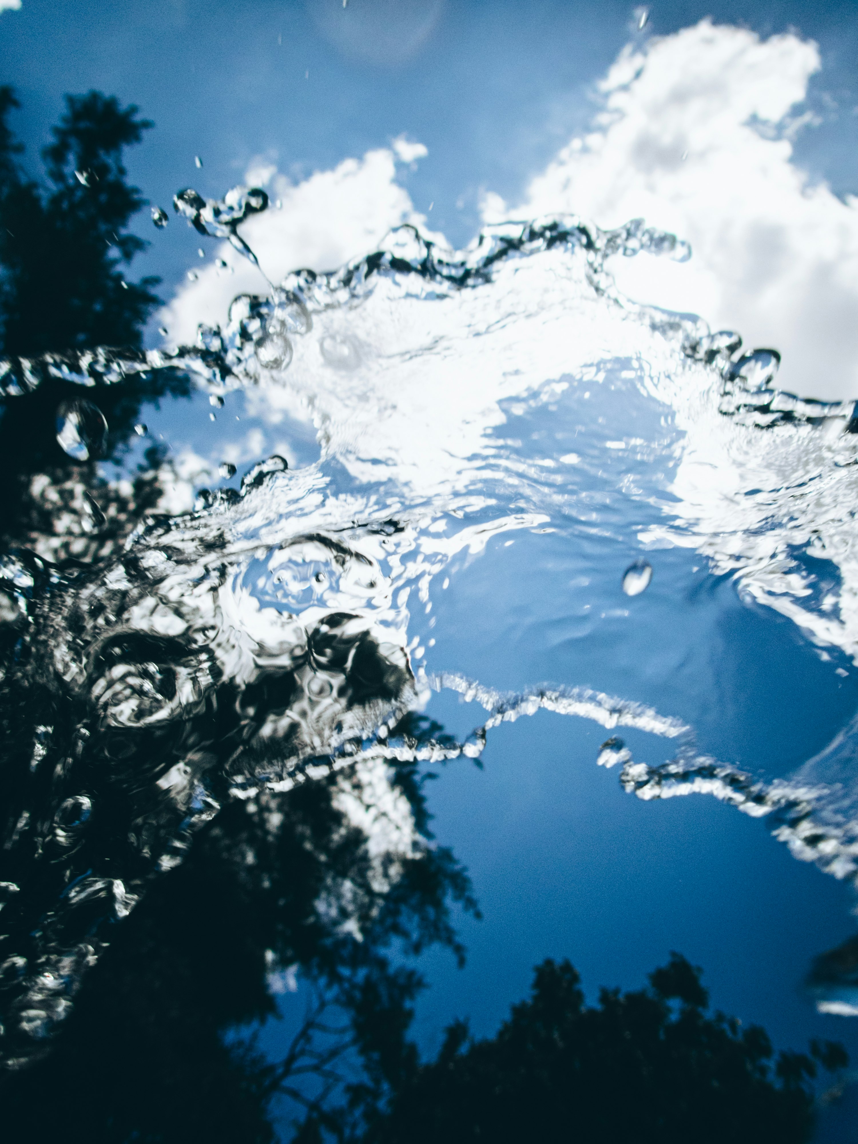 木々のシルエットと水しぶきのある空の下の水面