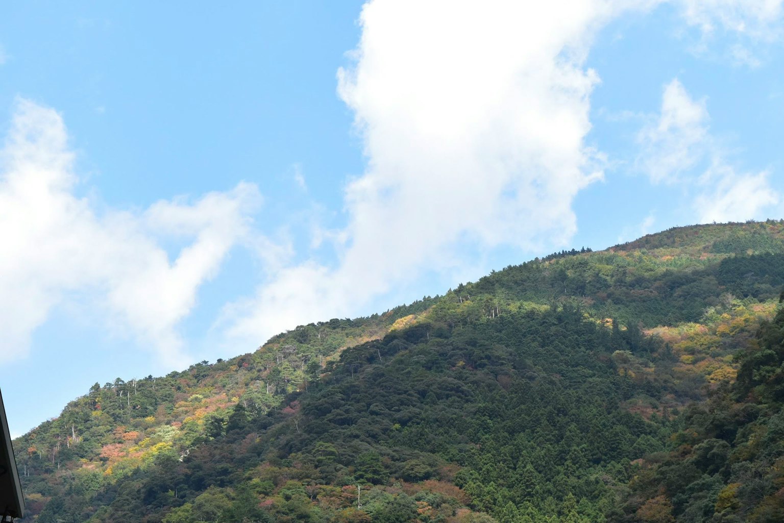 Mountain landscape with blue sky and clouds featuring lush greenery