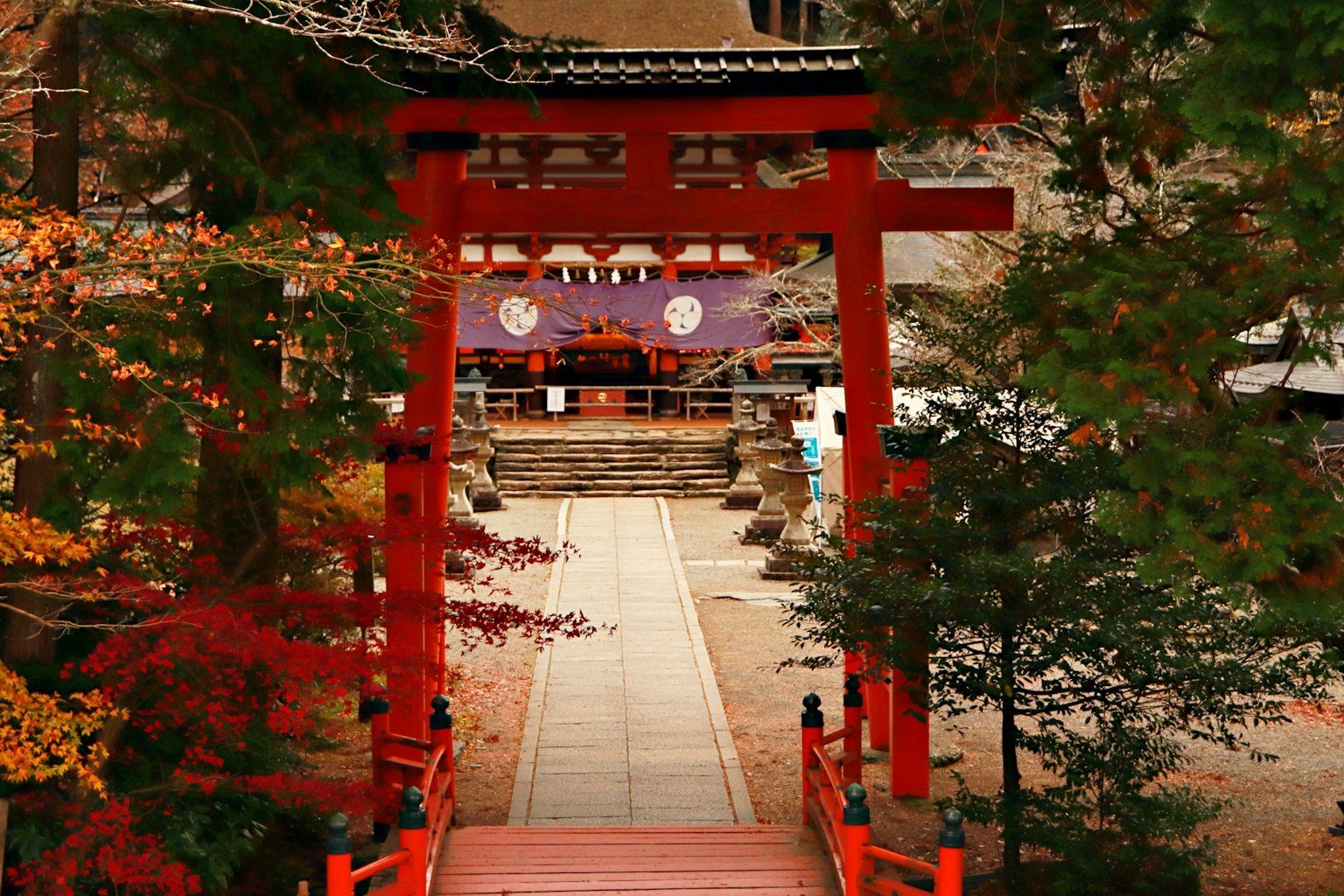 Vista escénica de un torii rojo con vibrante follaje otoñal en un santuario