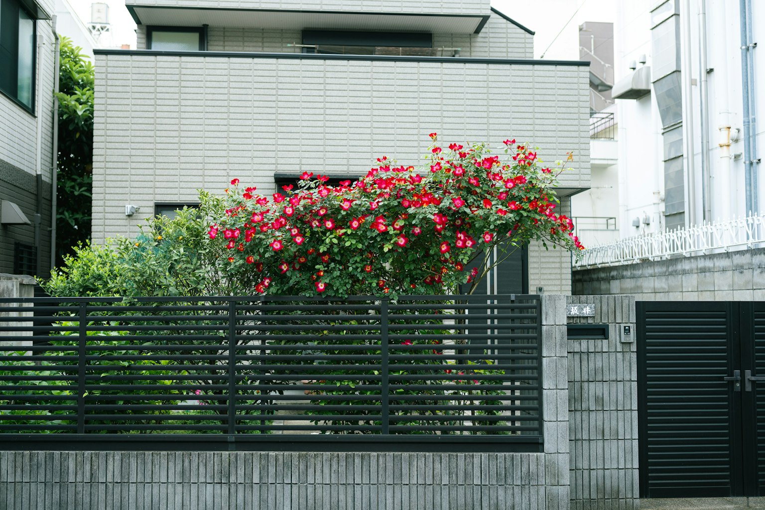 Vista esterna di una casa con fiori in fiore giardino verde e recinzione nera