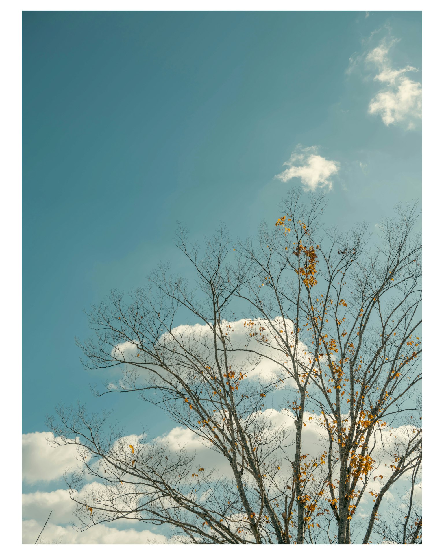 photo-WyDHMQcpVuXpiBbWzzoo-image