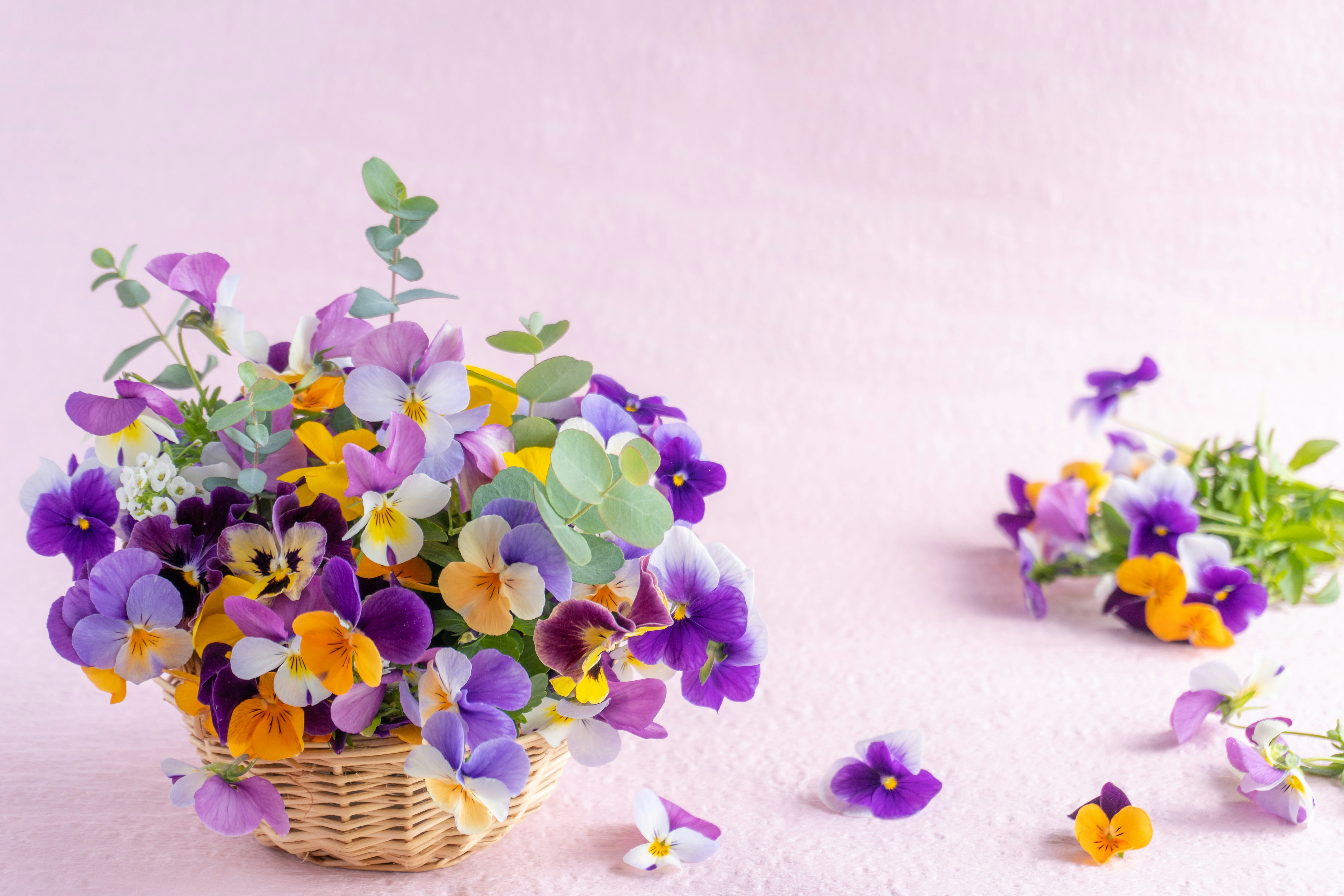 ピンク背景の花かごとビオラの花