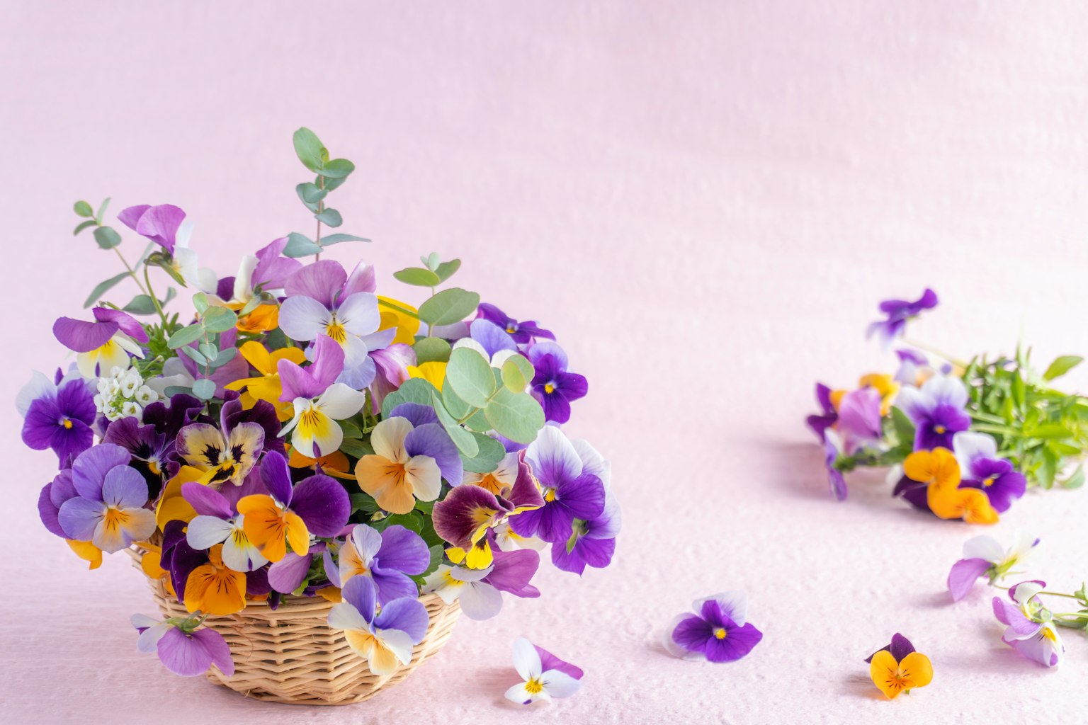 Giỏ hoa pansy màu tím và những bông hoa rải rác xung quanh