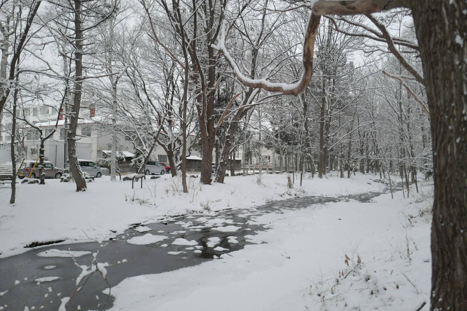 被雪覆盖的风景和宁静的小溪