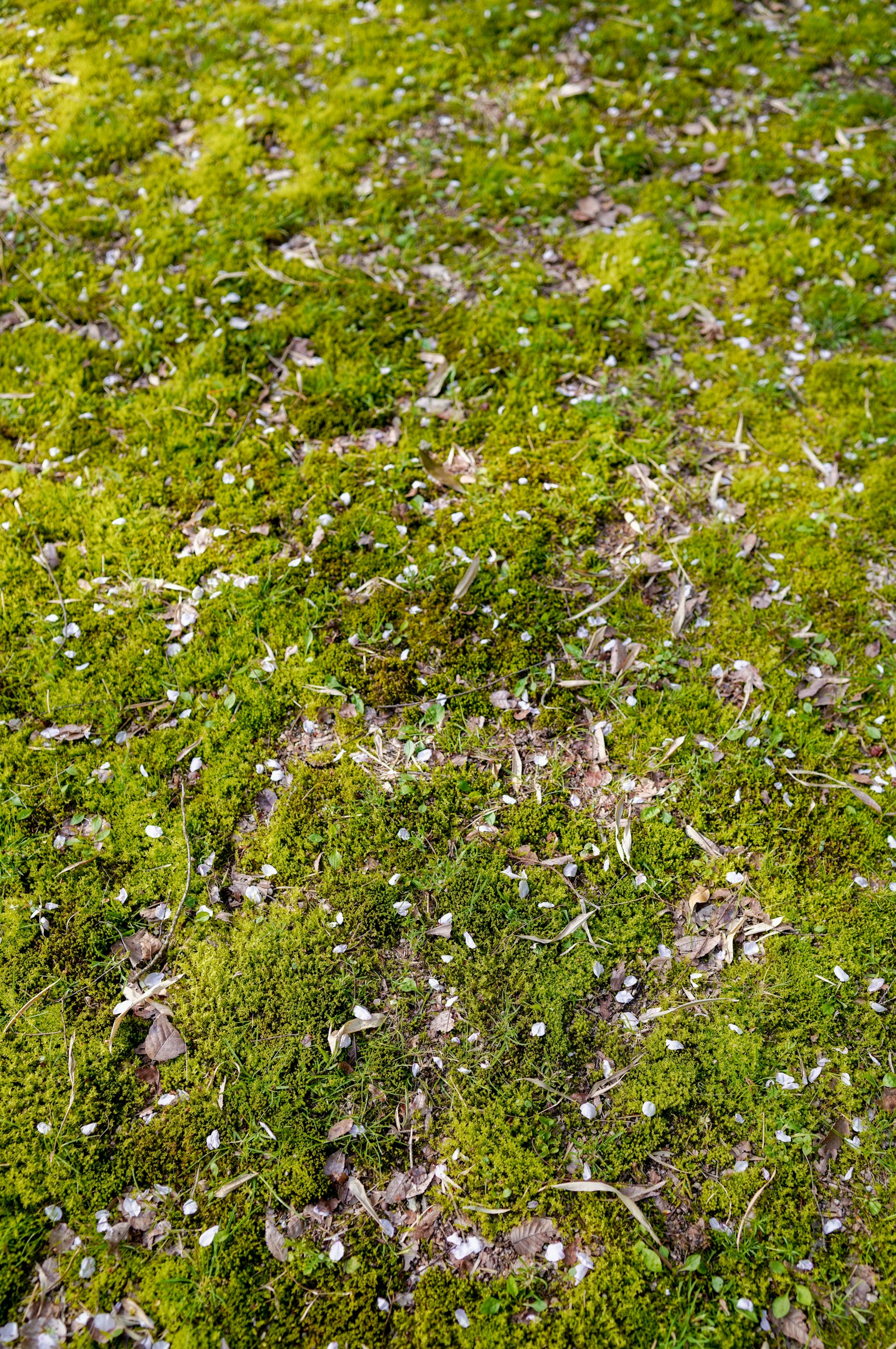 photo-WzEy03zh8e079tlJnCsQ-image