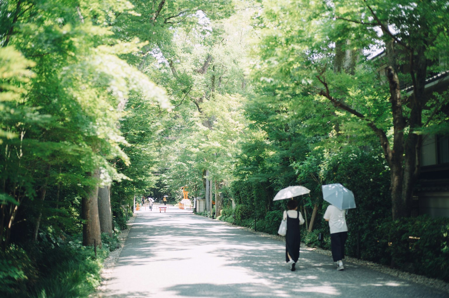 Hai người phụ nữ đi bộ trên con đường xanh tươi với ô