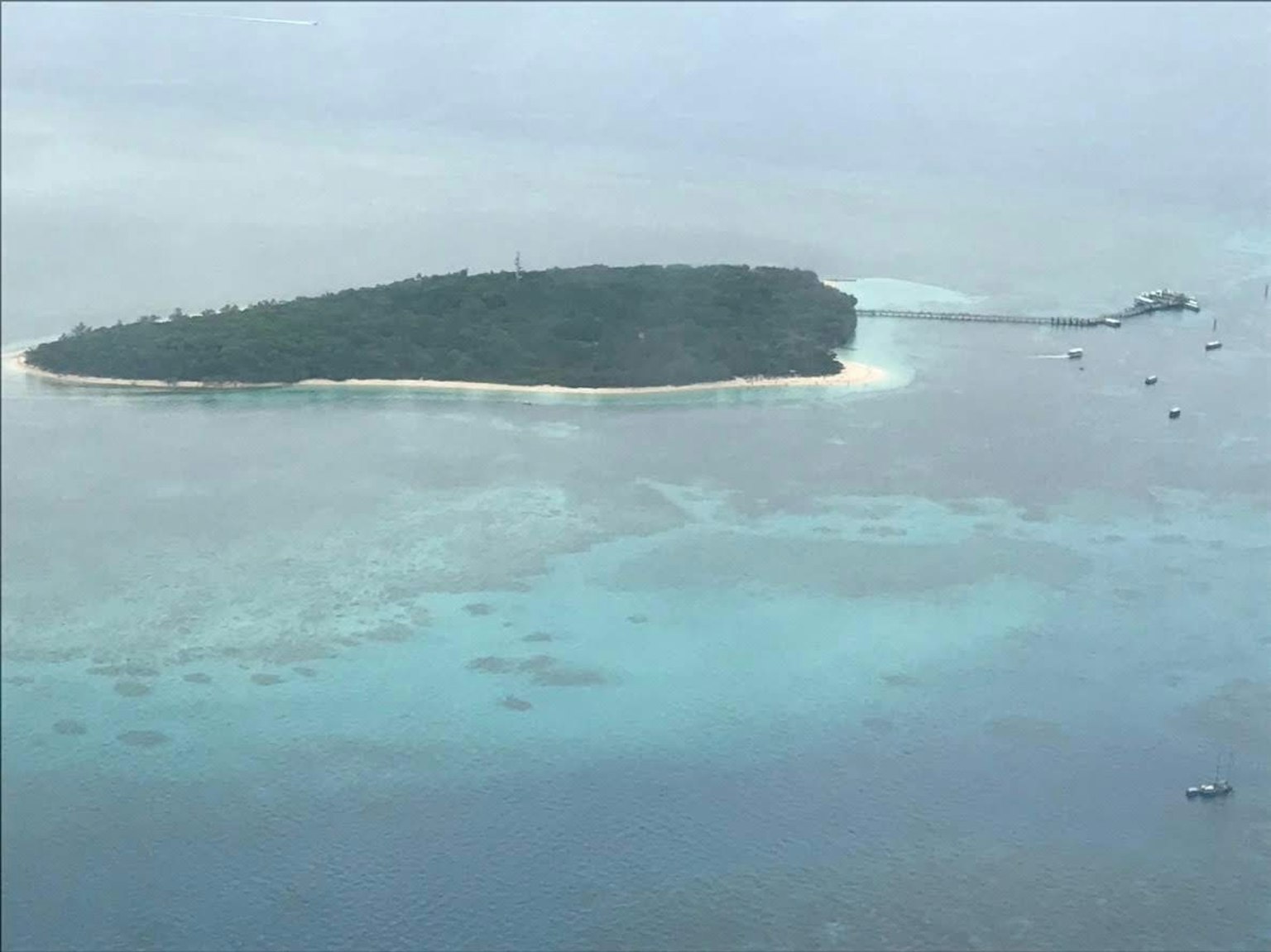 Vue aérienne d'une petite île avec une verdure luxuriante et une plage de sable blanc entourée d'eaux turquoises