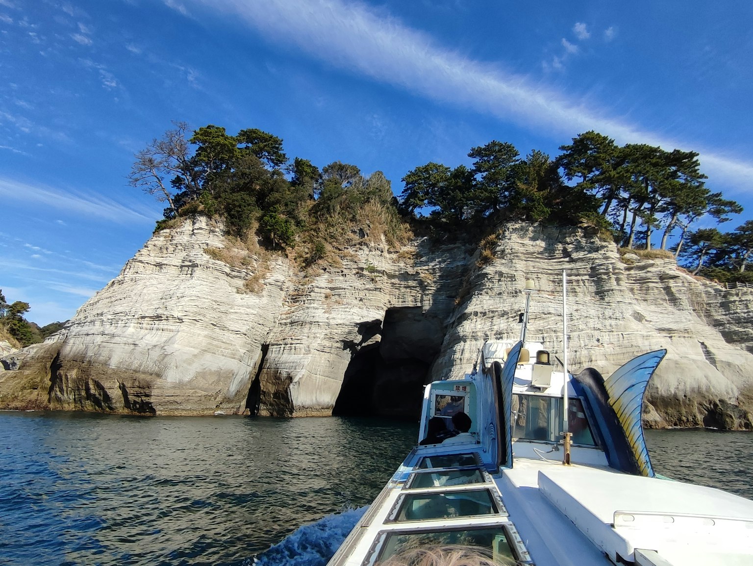 Vista desde un barco de acantilados blancos con árboles verdes bajo un cielo azul