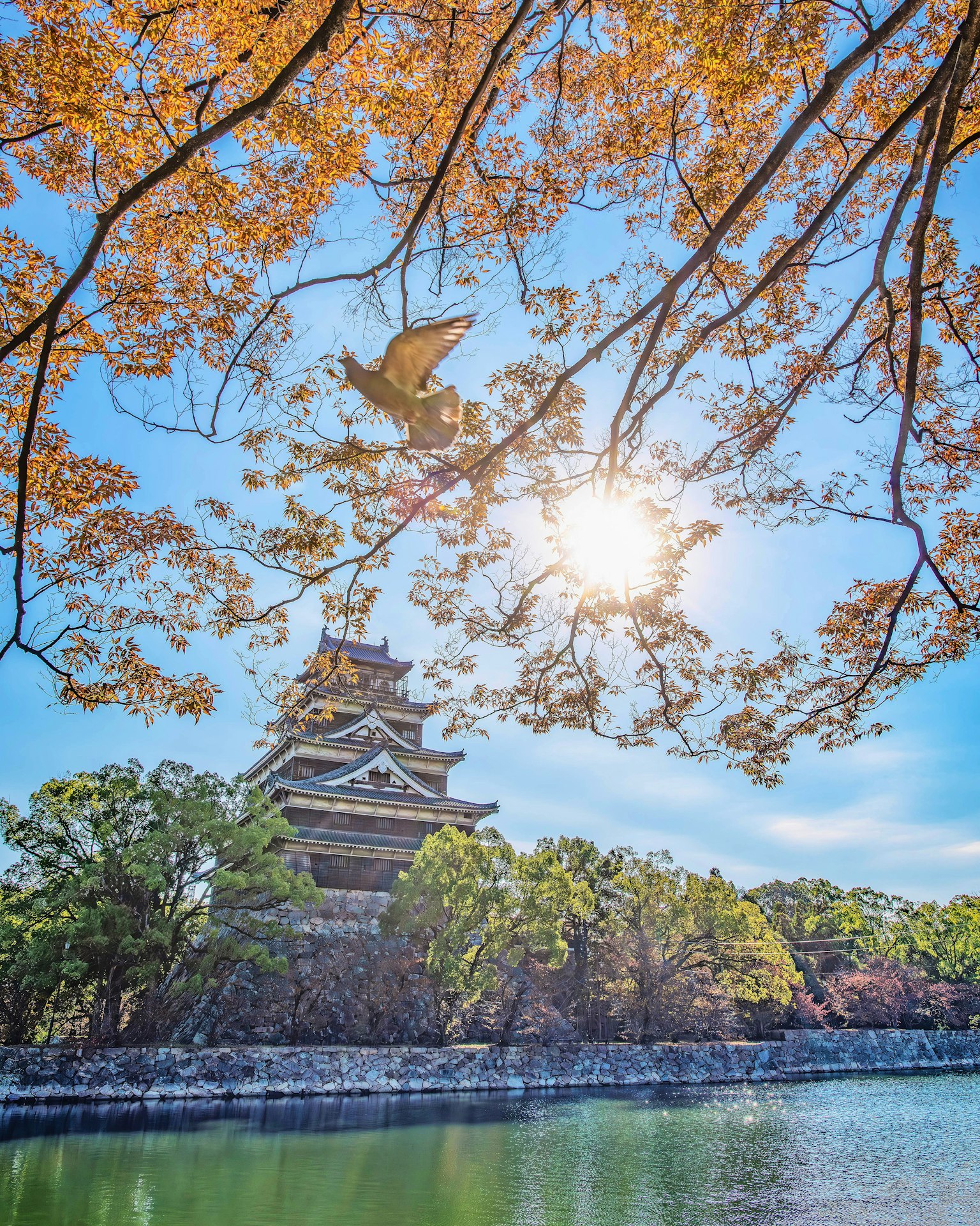 ทิวทัศน์ของปราสาทที่มีต้นซากุระอยู่ใต้ท้องฟ้าที่สดใส