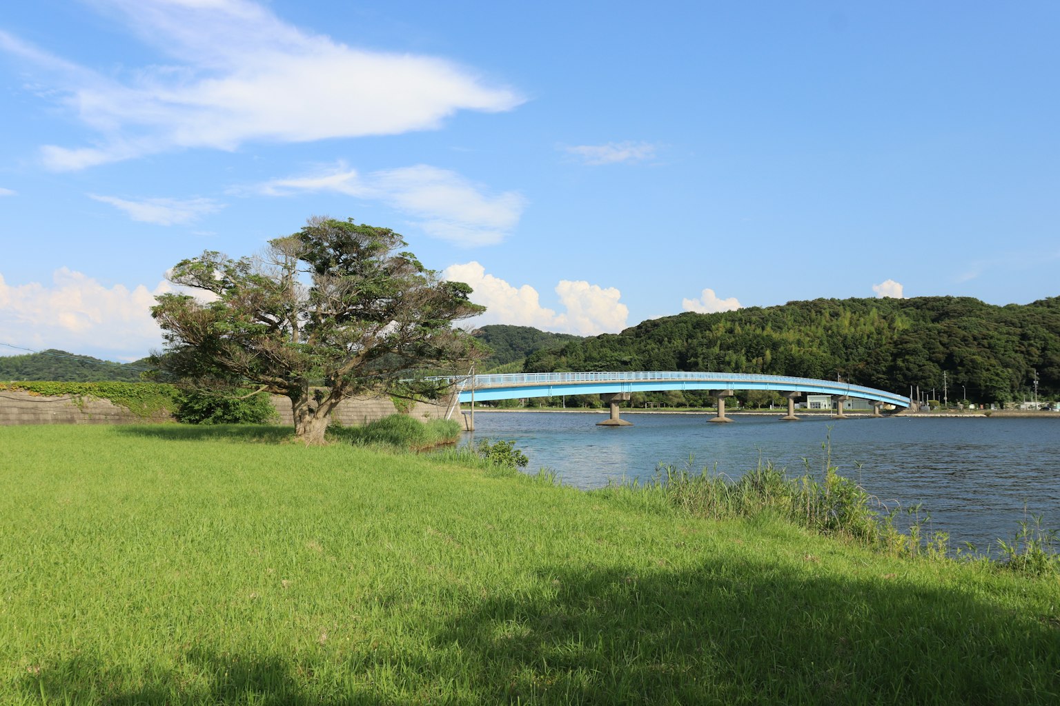 Scenic view of a river with a blue bridge and green meadow