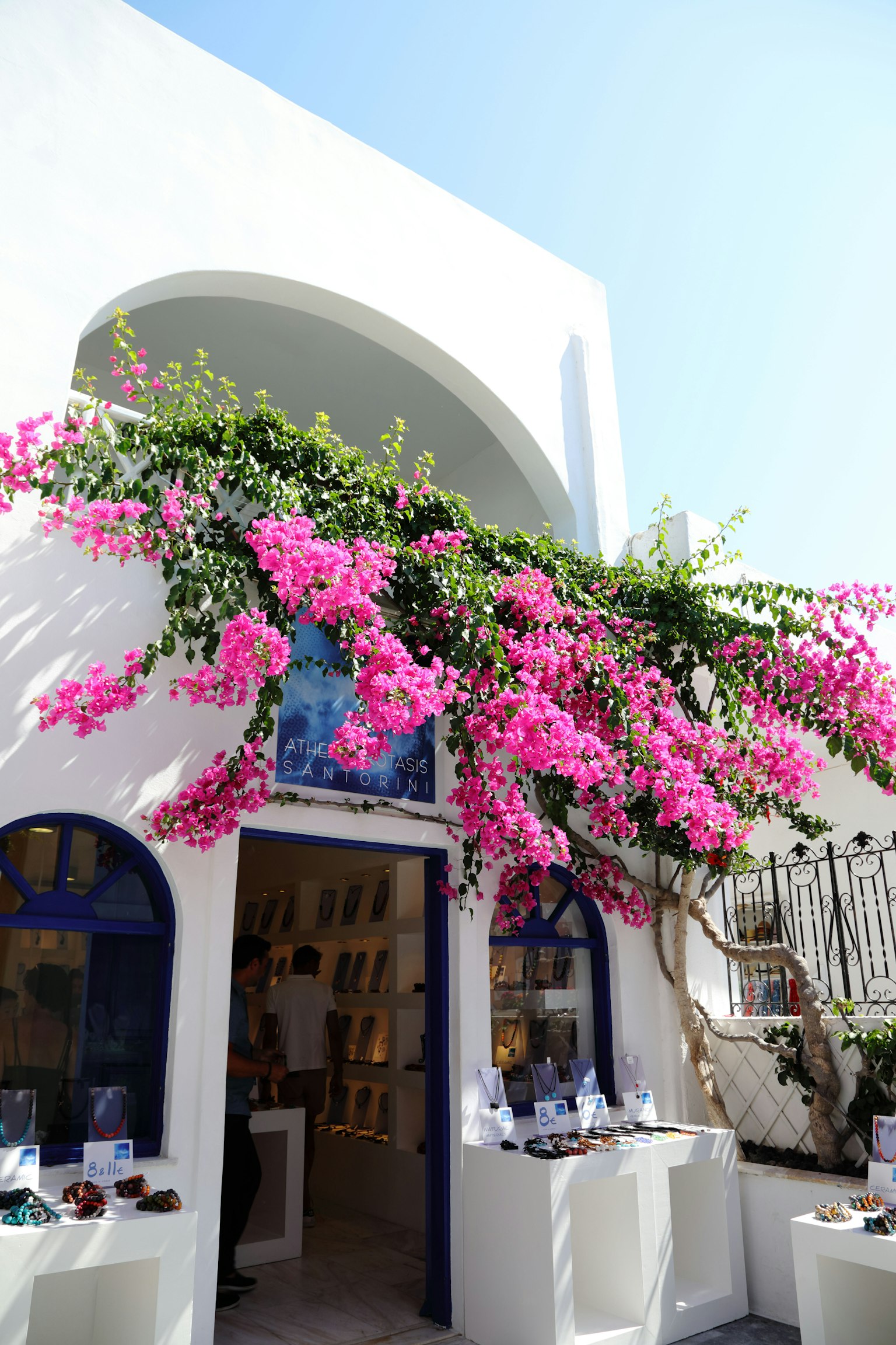 Bougainvillea pink cerah menjuntai di atas bangunan putih