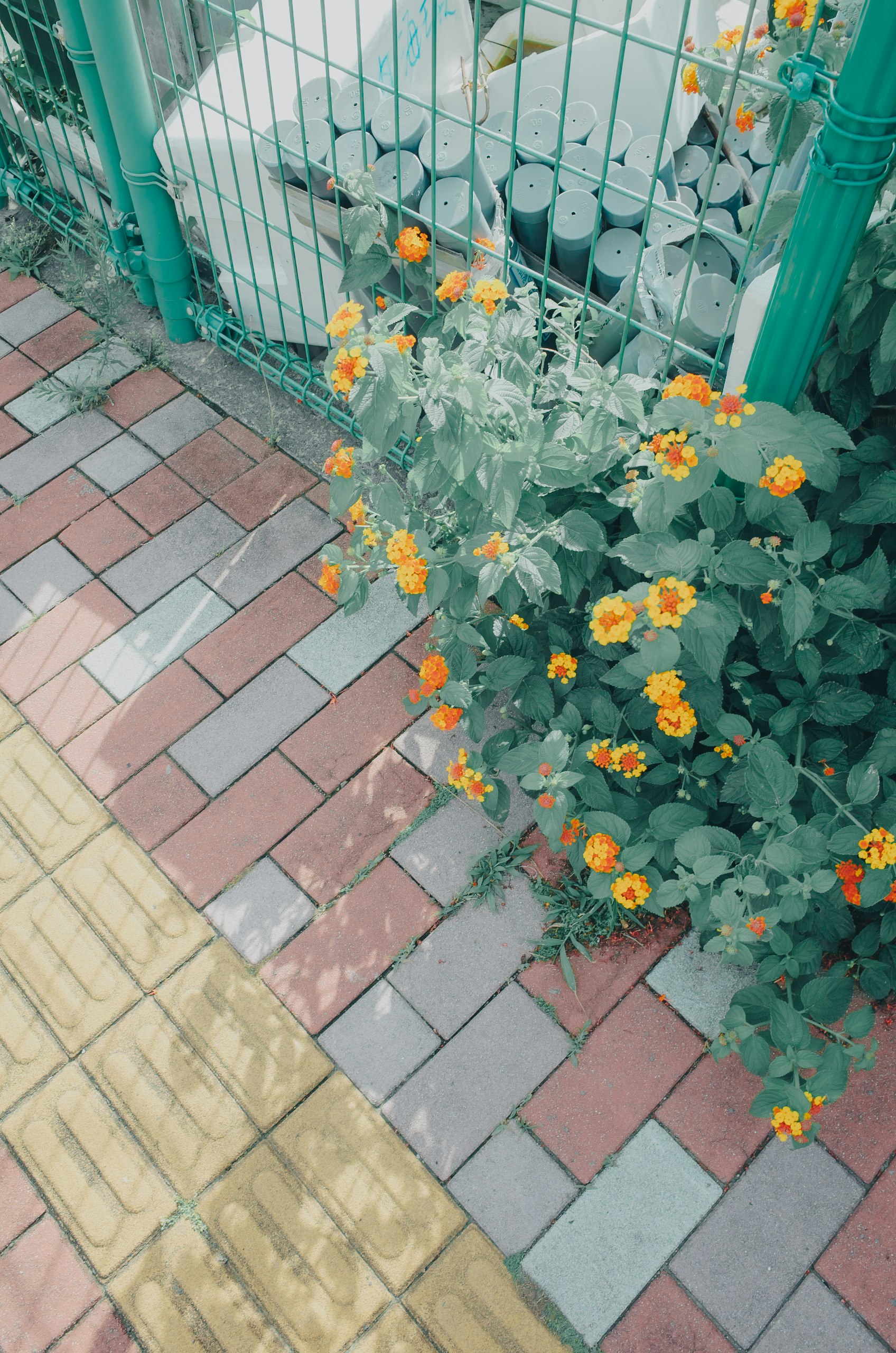 花と鉢植えのある屋外の通路