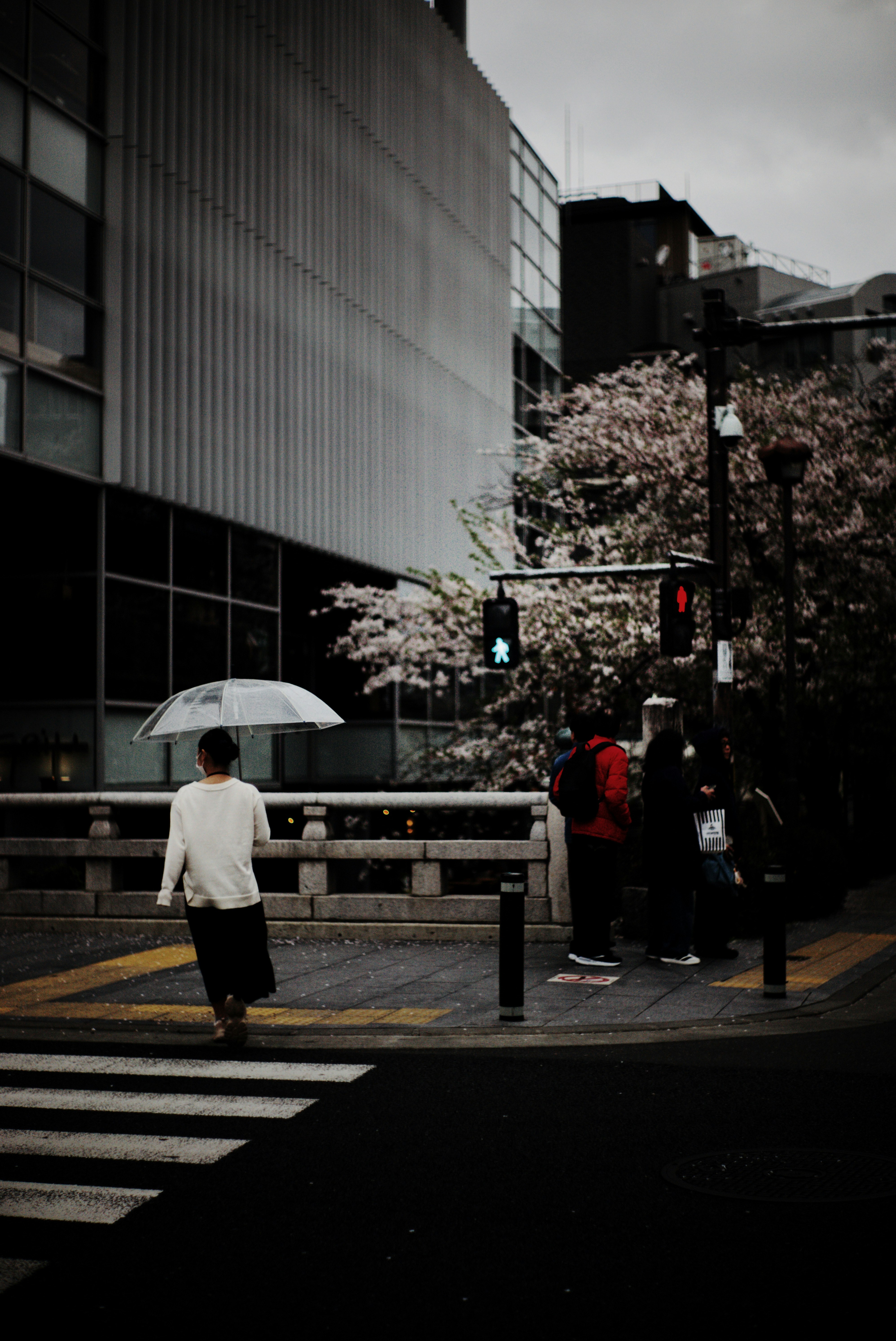 桜の木の近くで傘を持って歩く人々の風景