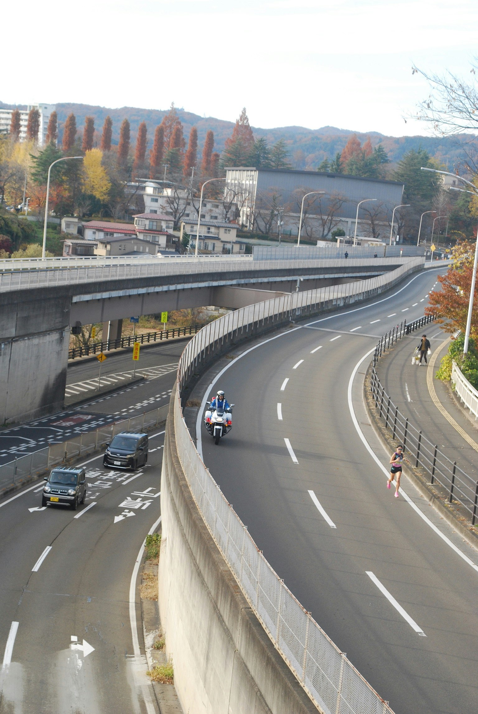 Carretera curva con edificios circundantes y árboles de otoño