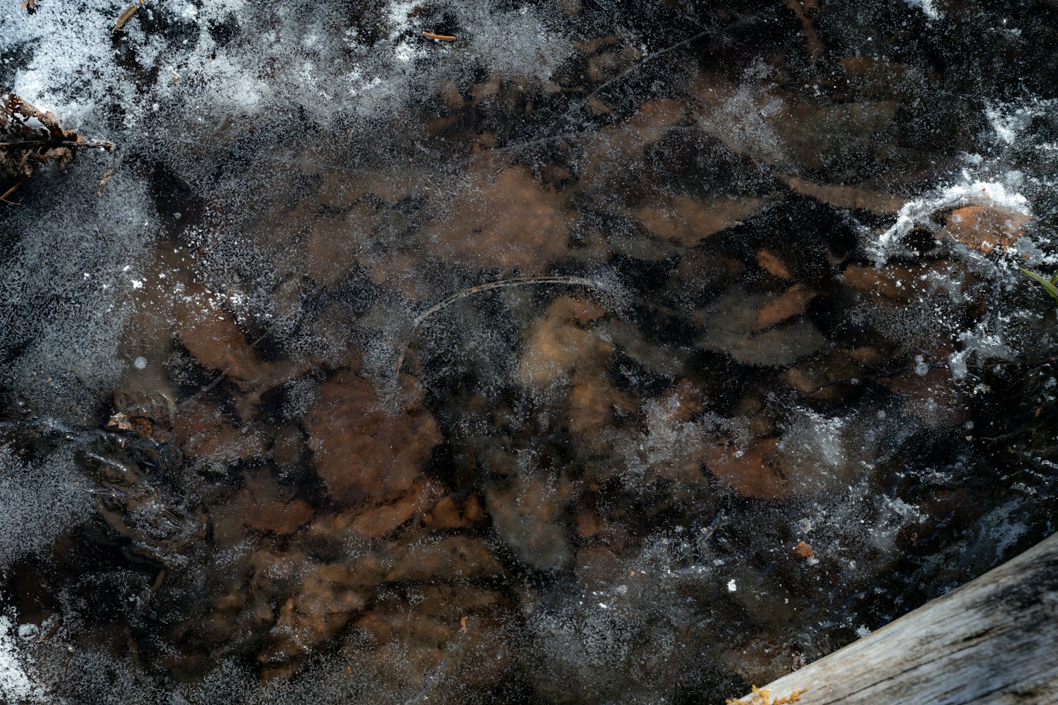 冰覆盖的表面展示棕色石头和木纹