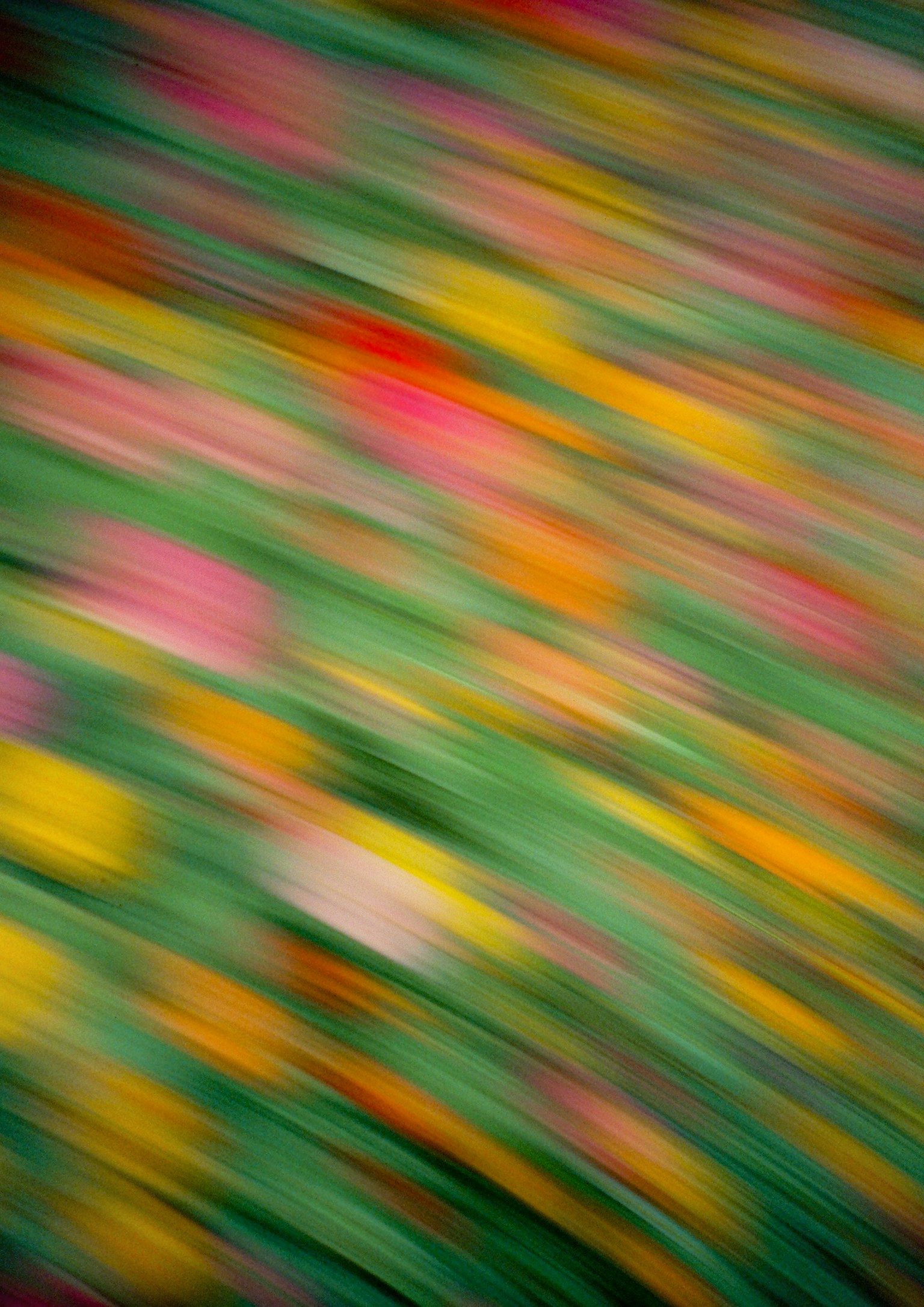 色とりどりの花がぼやけて流れるように見える抽象的な画像