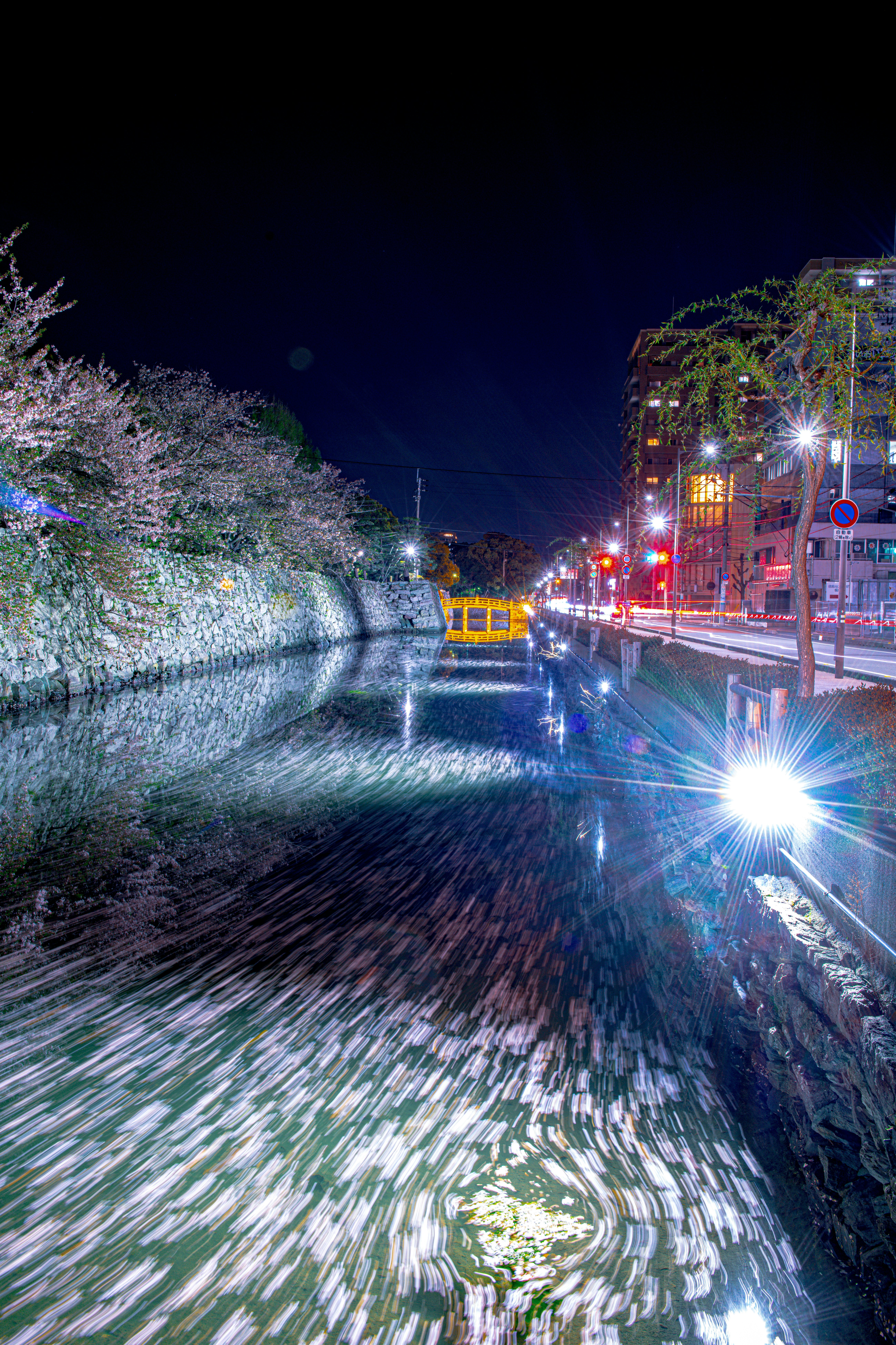 夜の桜並木と花筏のリフレクション画像