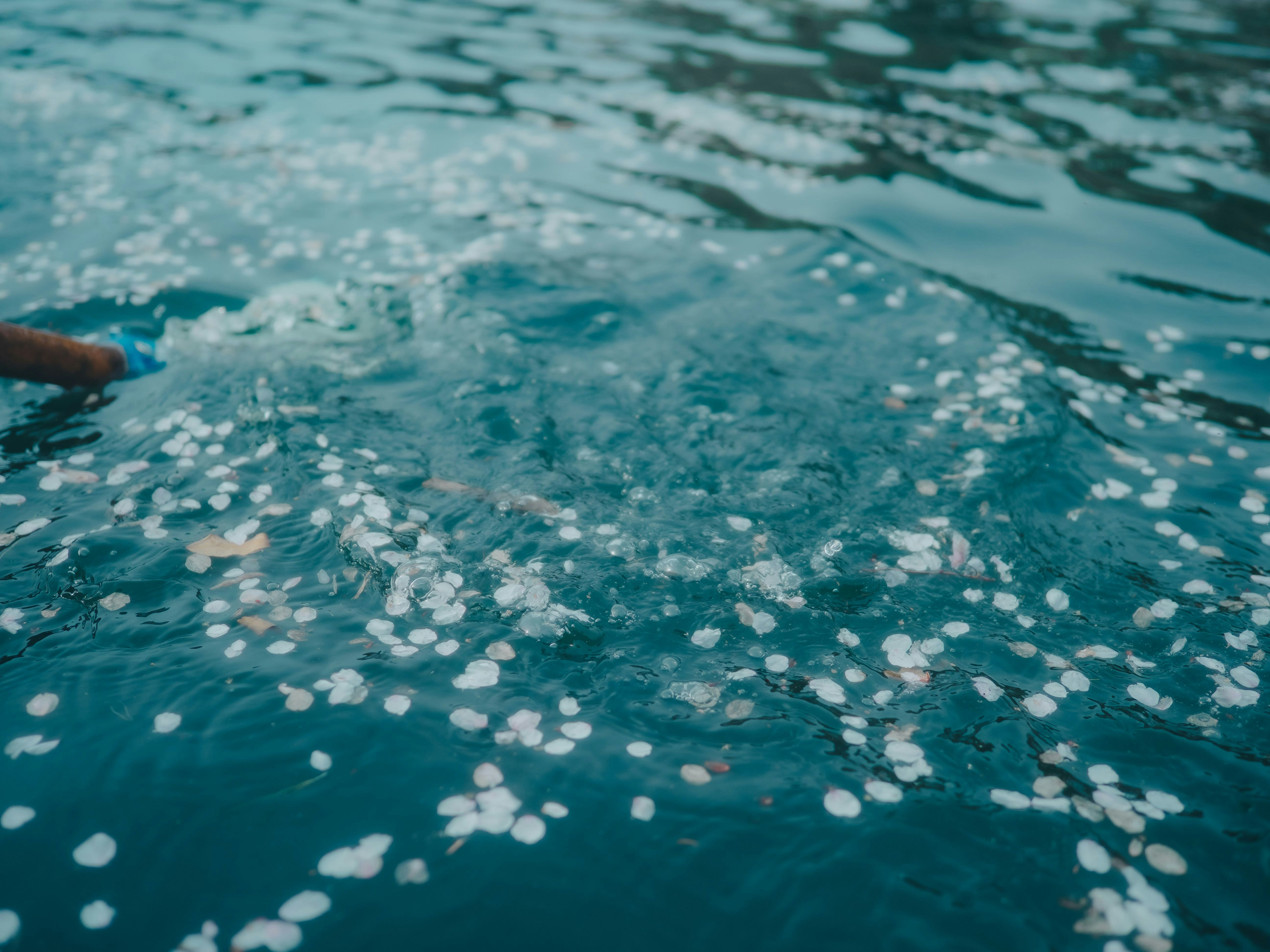 水面に浮かぶ泡と光の反射のある海のような景色