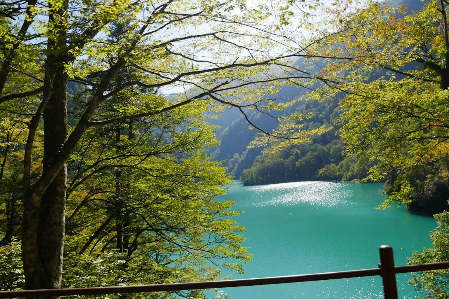 被绿色树木环绕的绿松石湖的风景