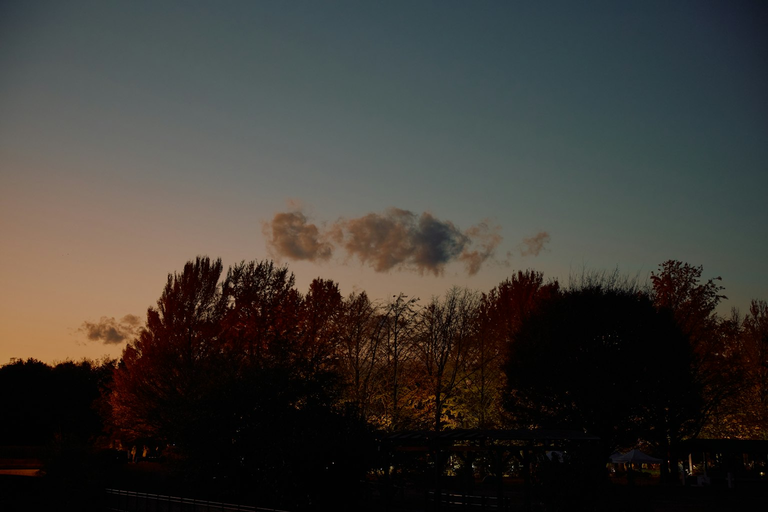 photo-X58yrERJNM6QJGy4l2Hy-image
