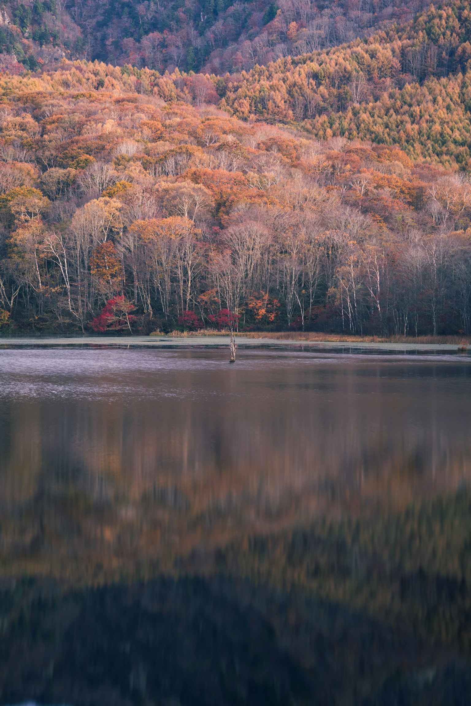 Scenic lake reflecting autumn foliage with mountains in the background
