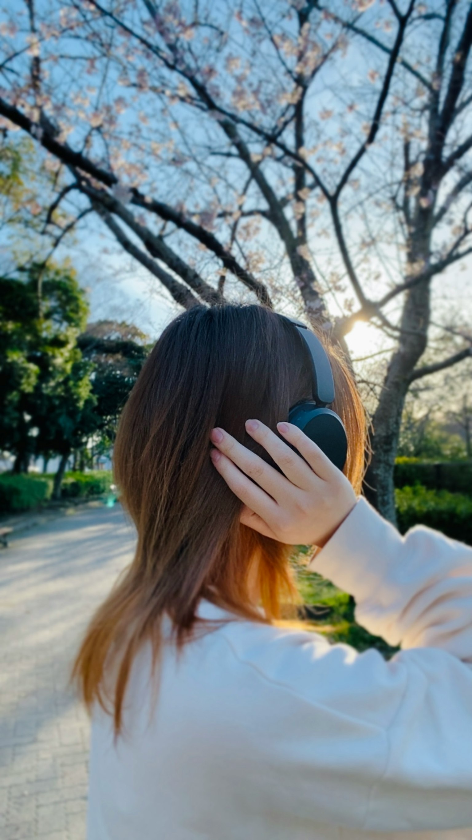 Woman wearing headphones in a park with cherry blossom trees and blue sky